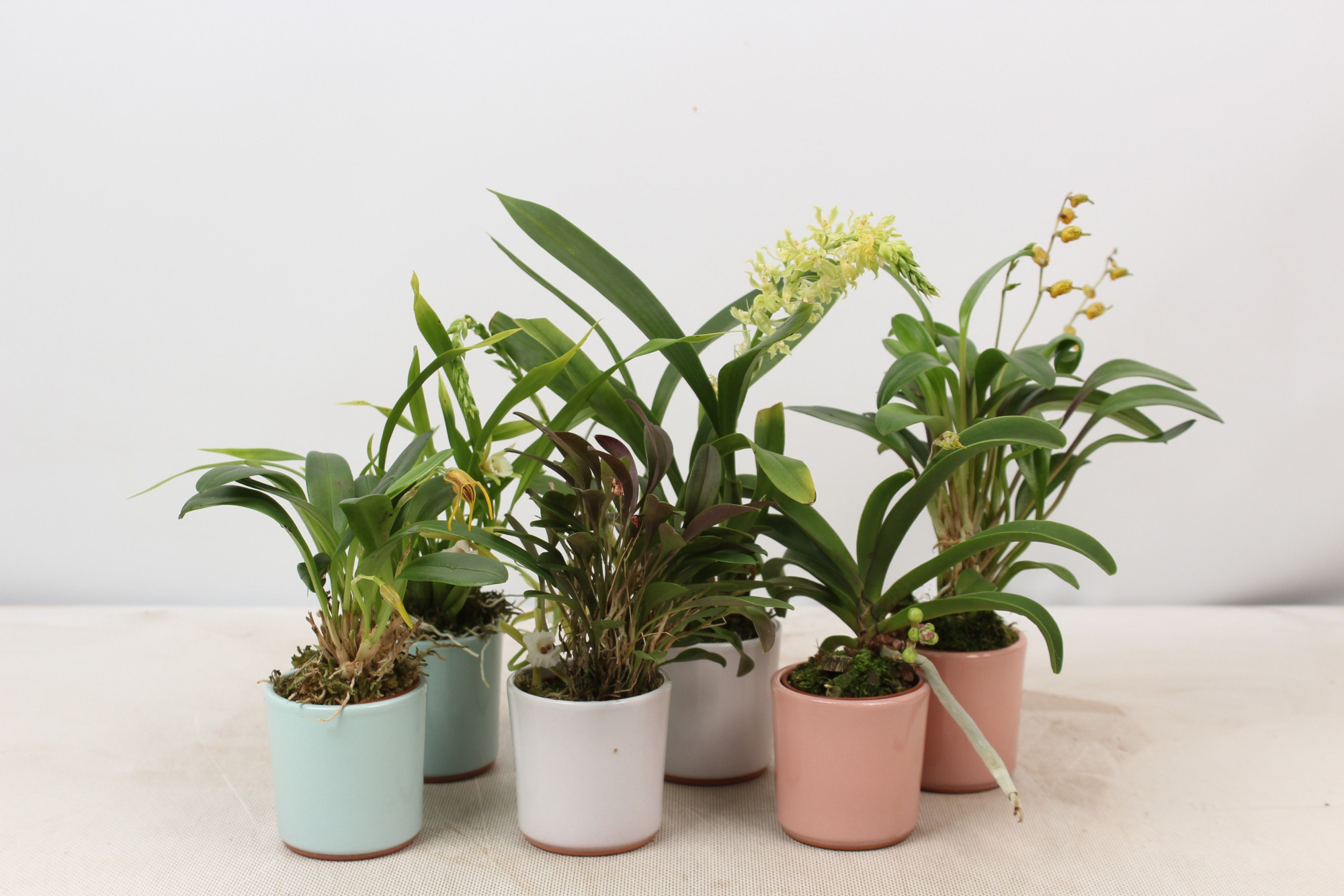 6 cm mix met keramiek, D 6 cm