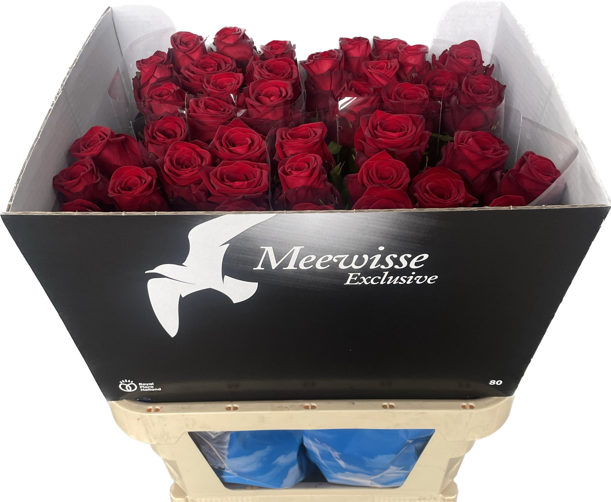 Роза од. Рэд Наоми 80, шт.