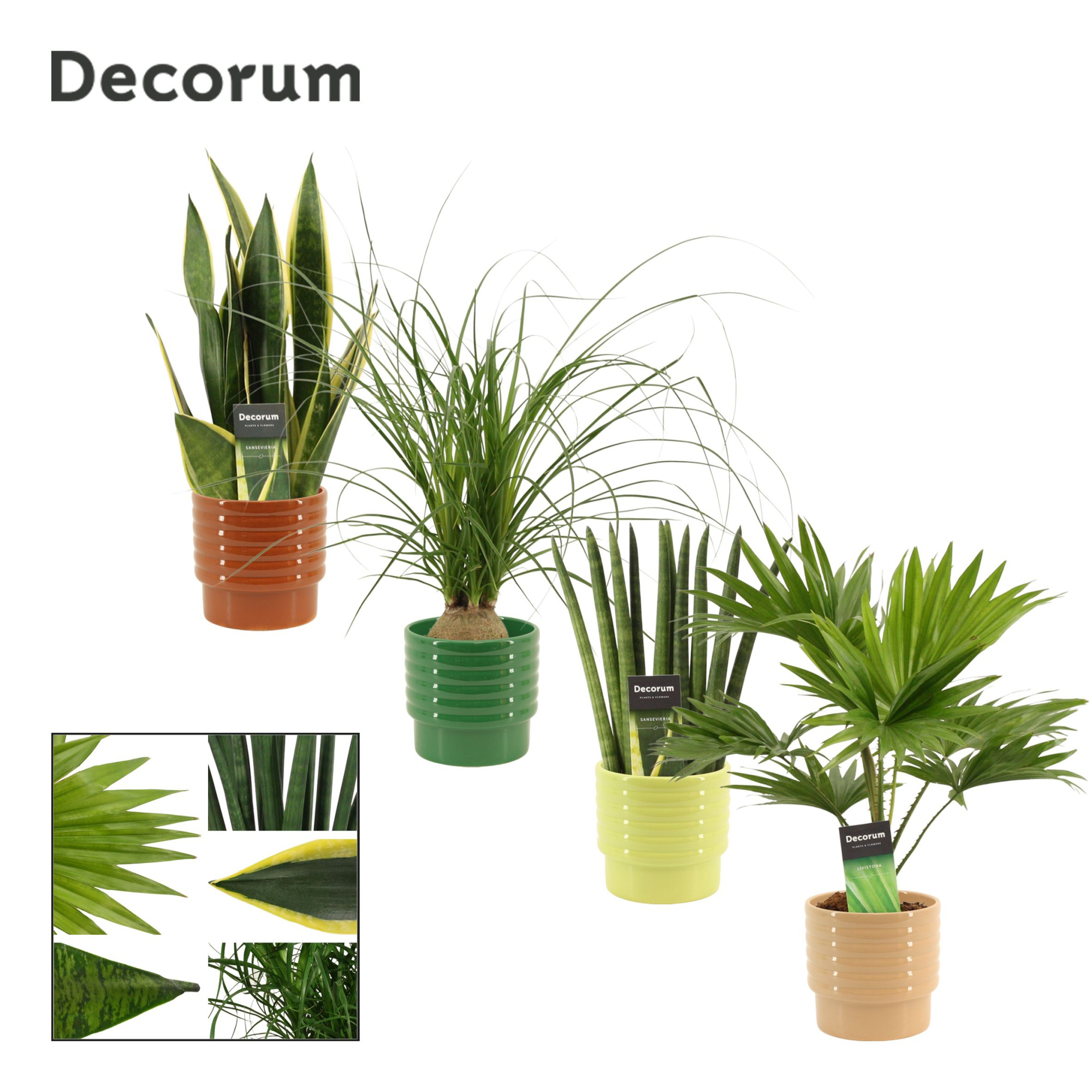 Groenmix 12 cm in Naemi (Natural bubble-collection), D 12 cm