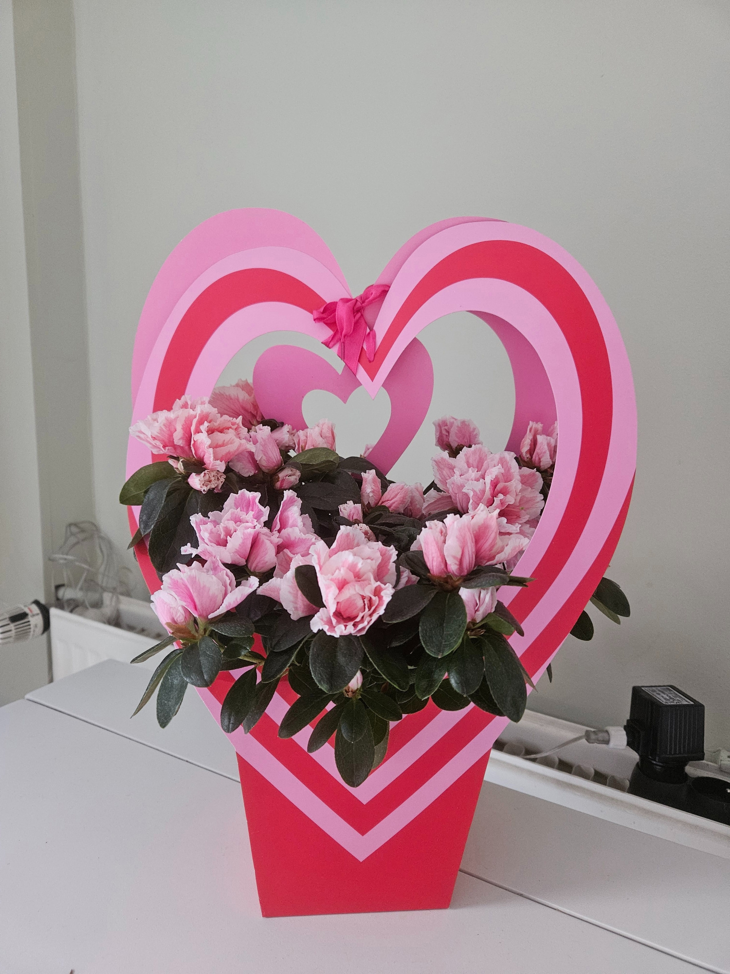 851 : VALENTIJN - VROUWENDAG P14 AZALEA mix kleuren in Express your Love bag, D 14