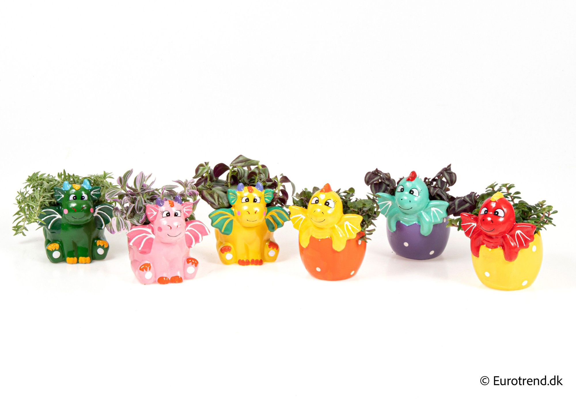 Green mix in baby dragon ceramic - Spring, Summer & Autumn 2025, D 6 cm
