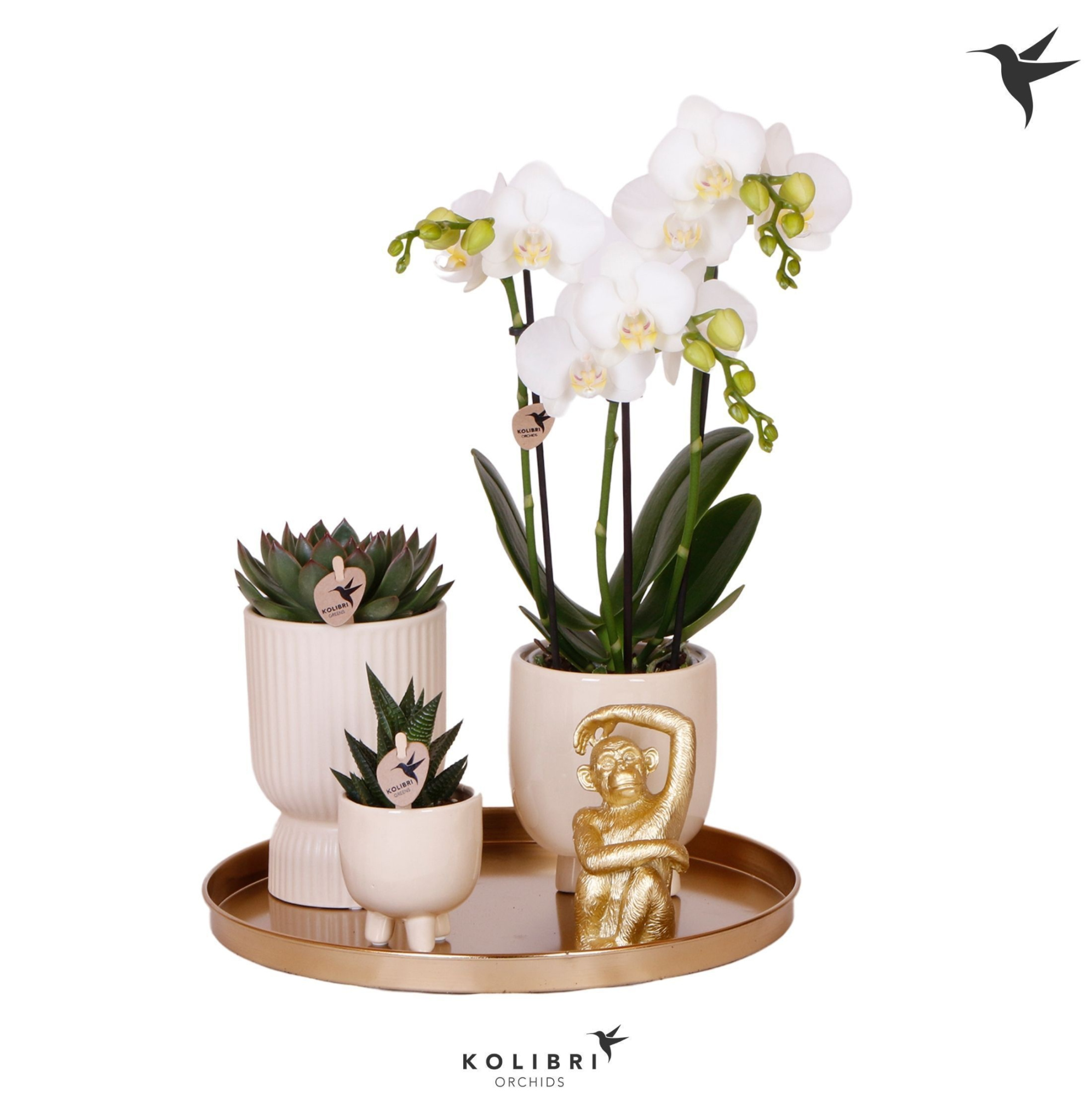 Kolibri Gift Set Le Chic travertine, D 30 cm