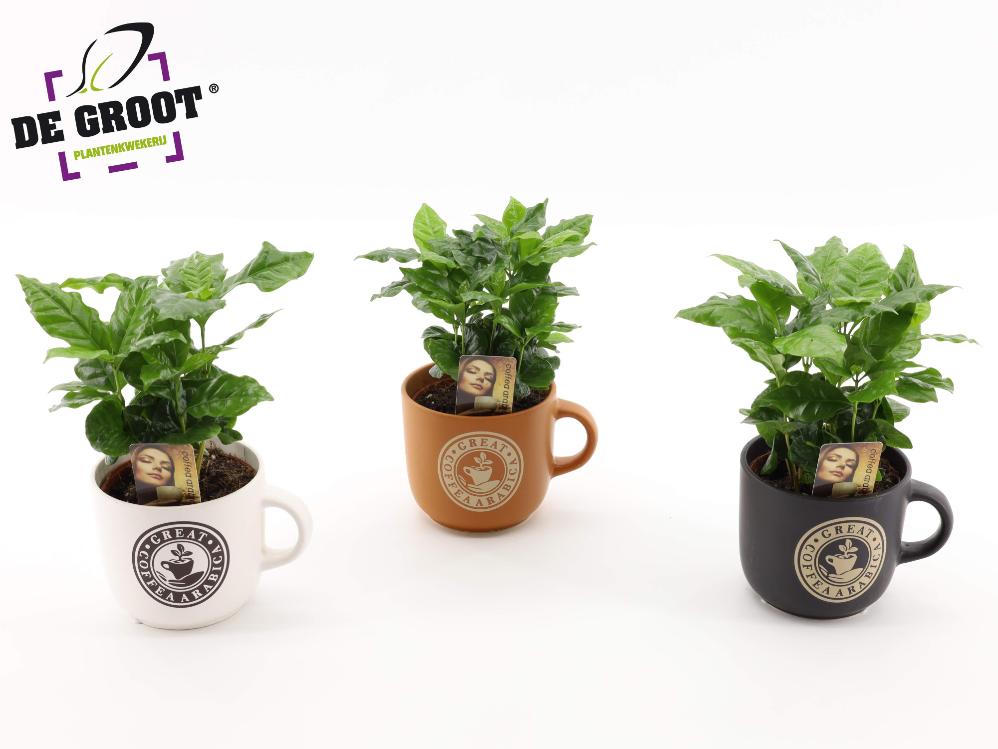 Coffea in koffiemok, D 12 cm