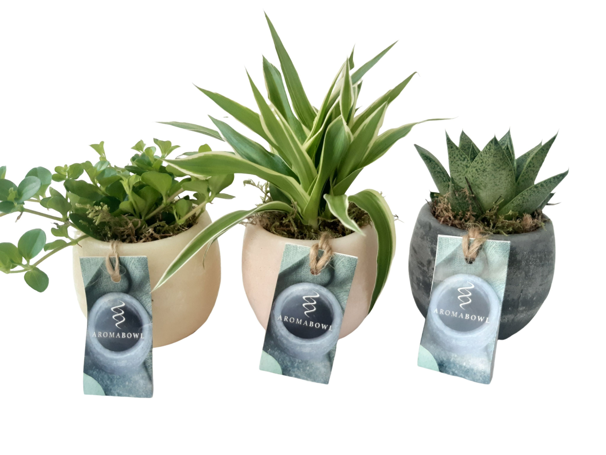 AB9MIX2 Aroma Bowl 9cm mini gr.mix Lavender, Rose, Cinnamon, D 9 cm