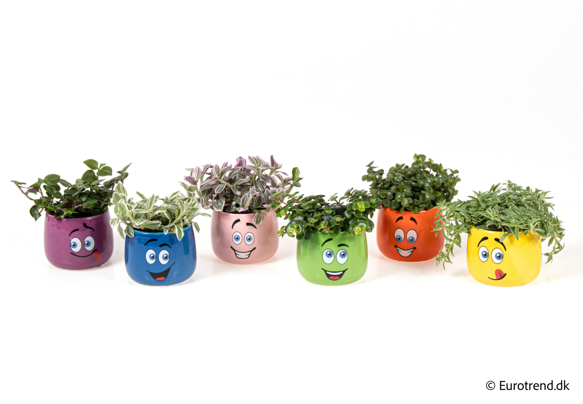 Green mix in smiley ceramic - Spring, Summer & Autumn 2025, D 6 cm
