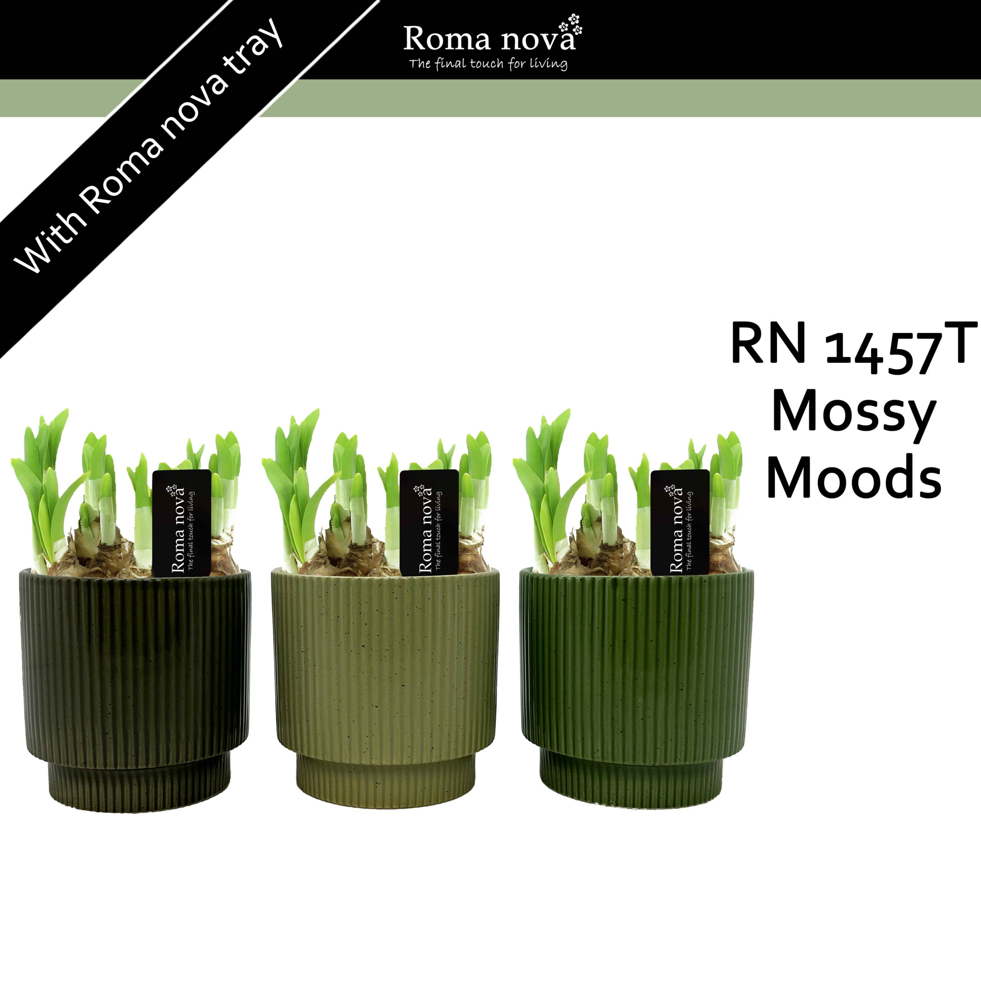 1457T - Mossy Moods (Tete a Tete), D 12