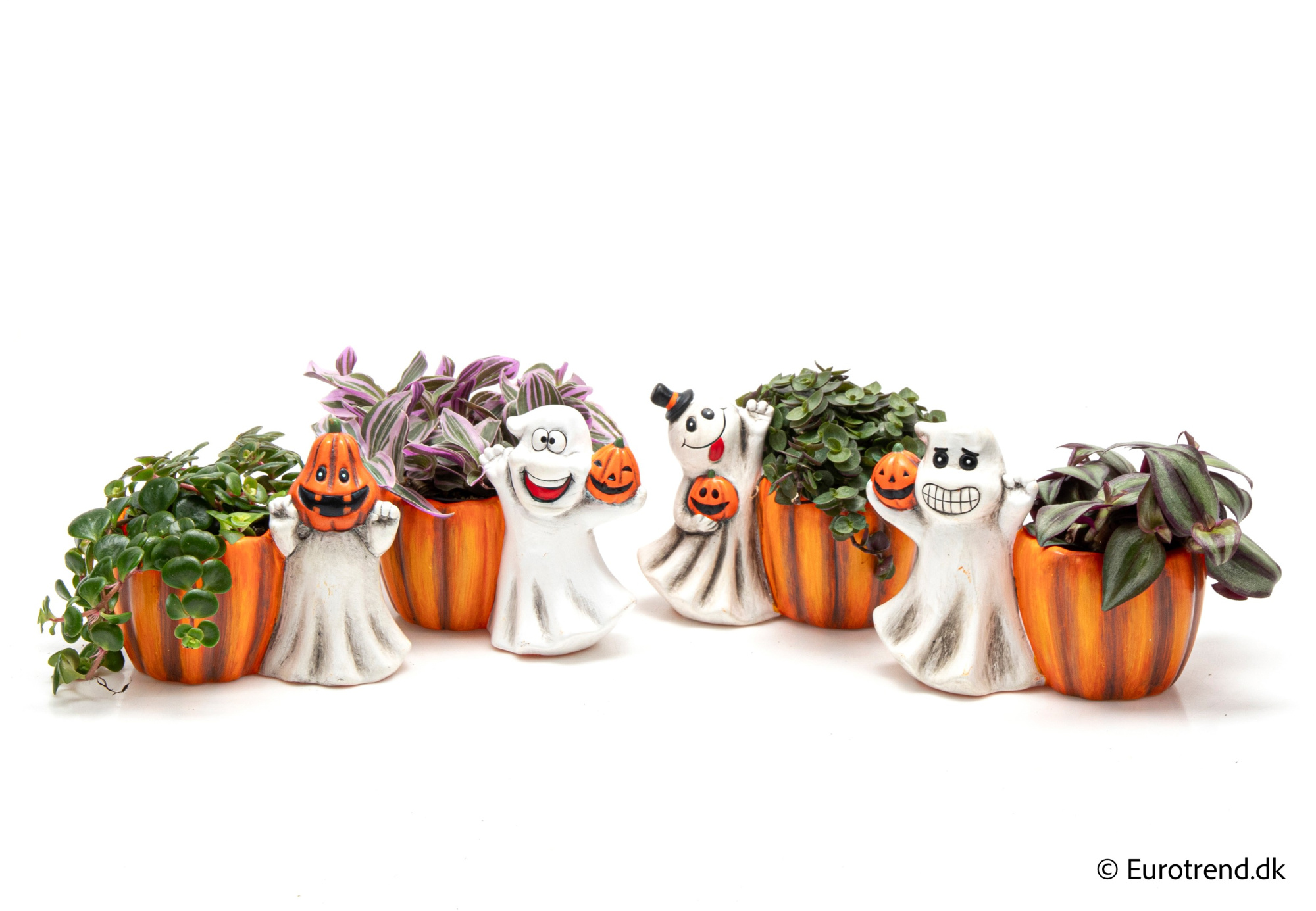 Green Mix in Halloween ceramic 2025, D 6 cm