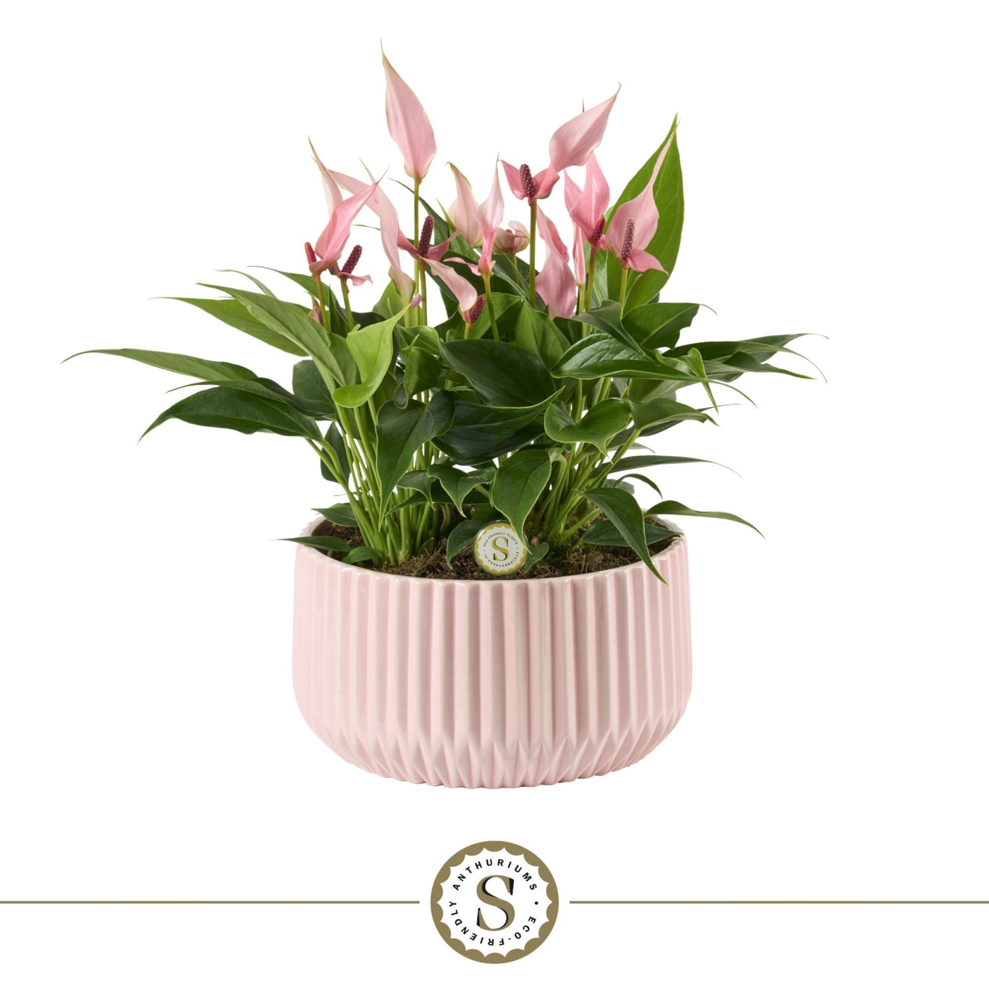 Table Lilli in Madeira Keramiek, D 17