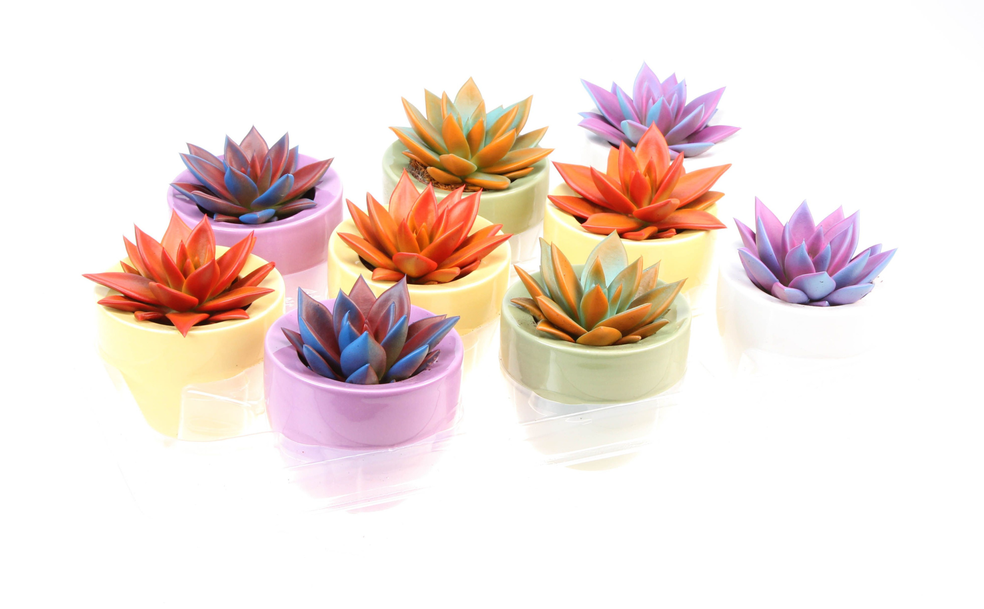 Rainbow ufo pot, D 8 cm