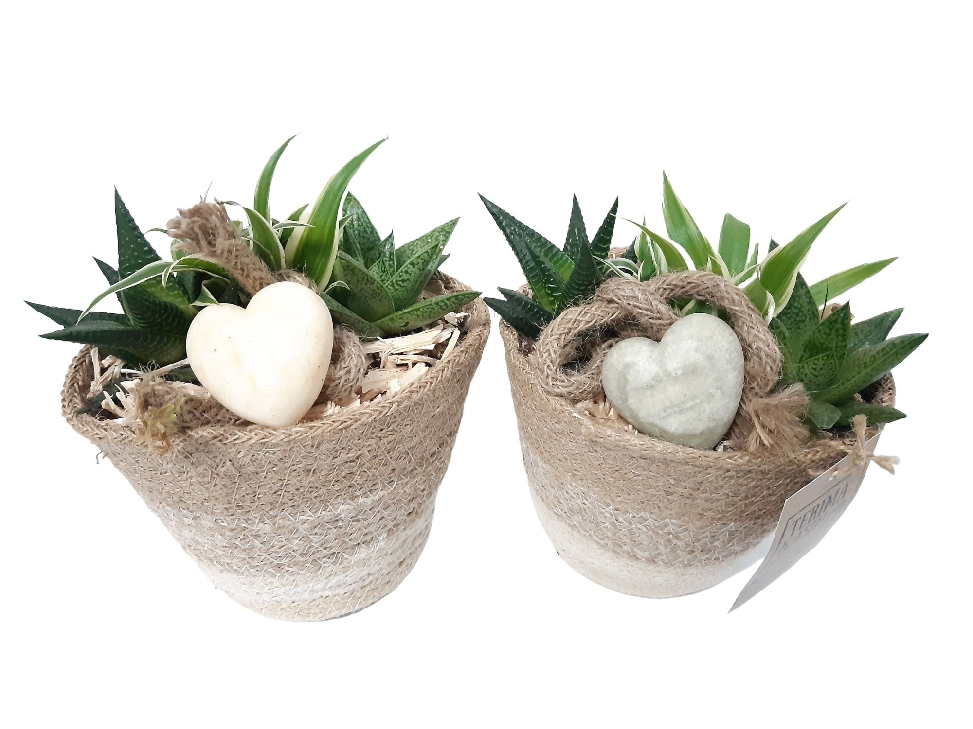 JMW13AH Jute mand White Ovaal D15 mini groenmix Aroma Heart, D 15