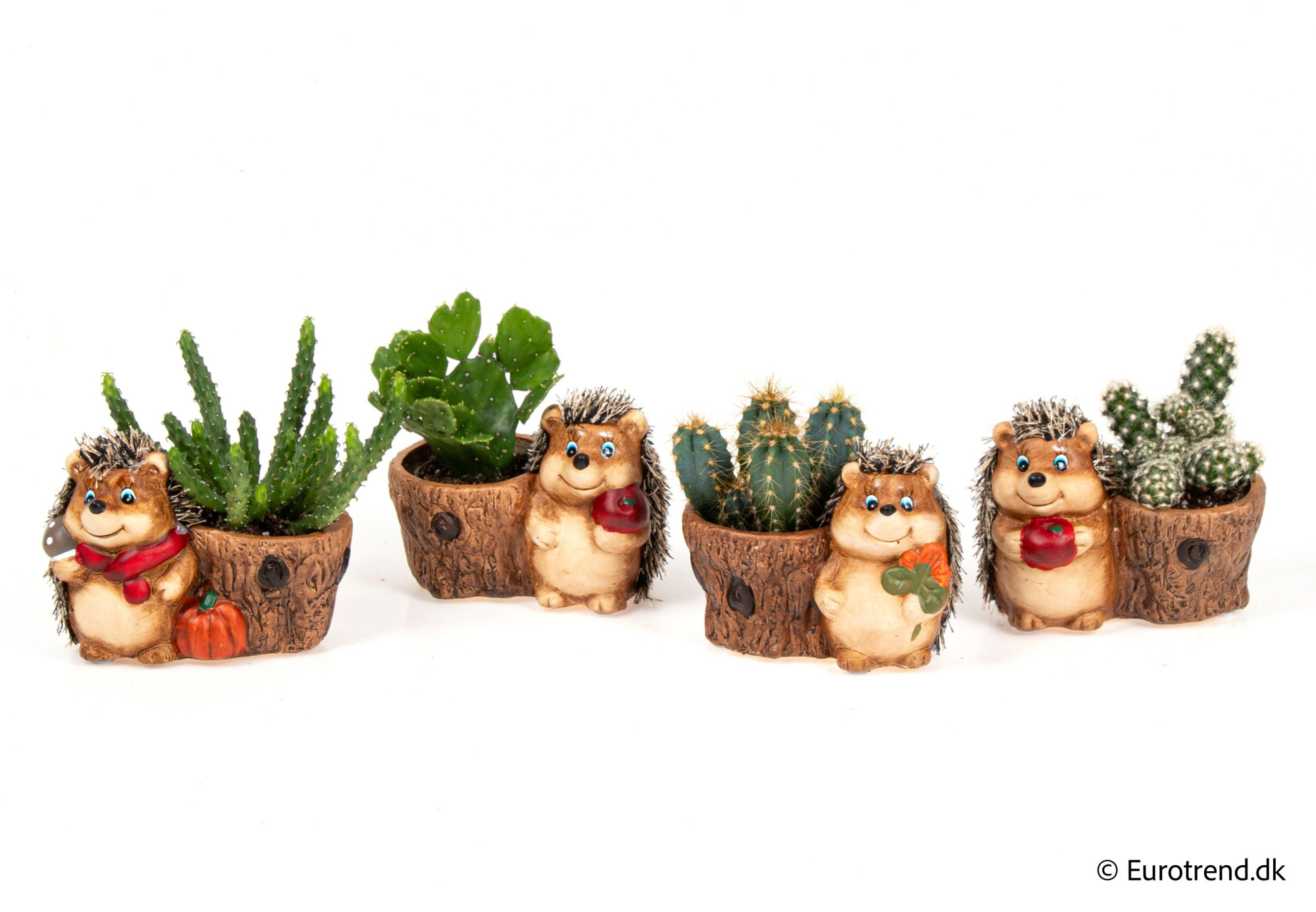 Cactus in hedgehog autumn ceramic - Spring, Summer & Autumn 2025, D 6 cm