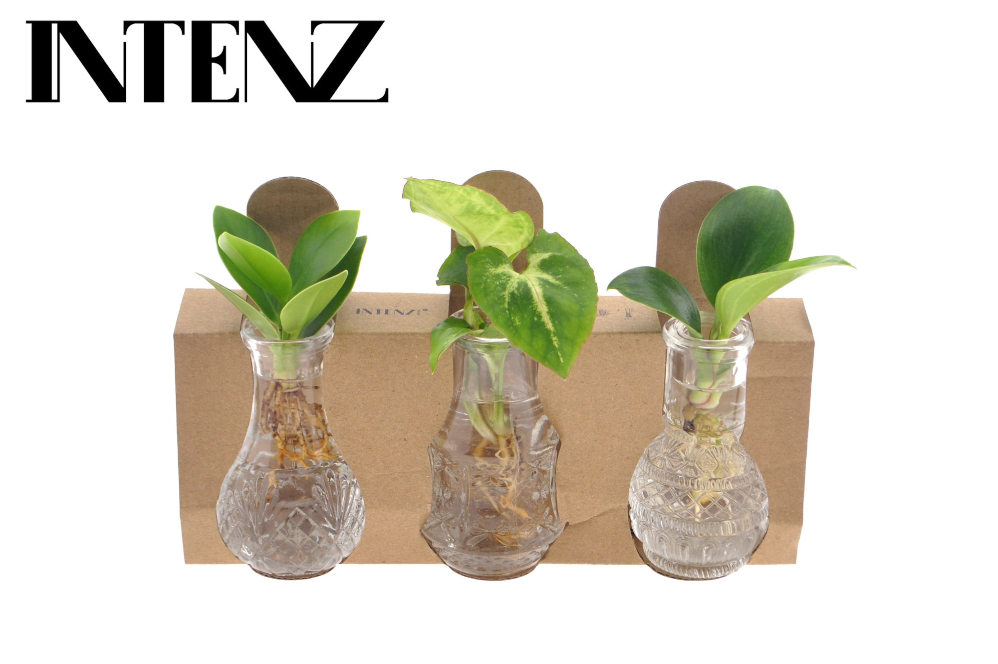 Mix in Berlin glas, D 7 cm