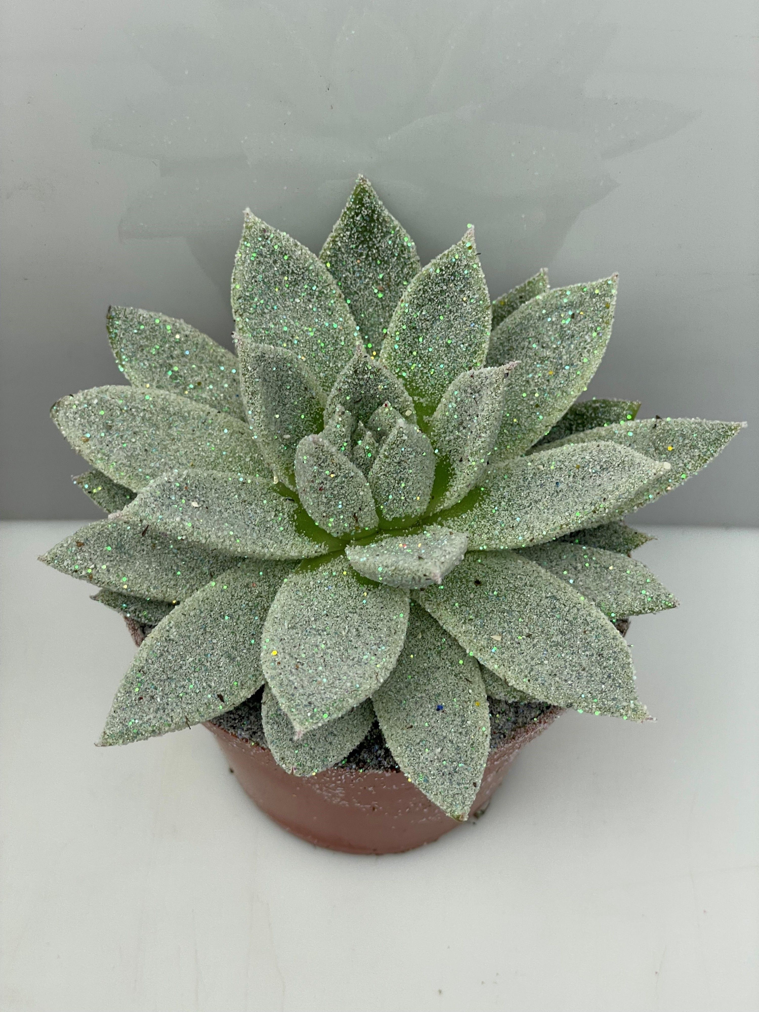 453 Kerstster BIO Twinkle glitter parelmoer 8,5 cm, D 8,5 cm