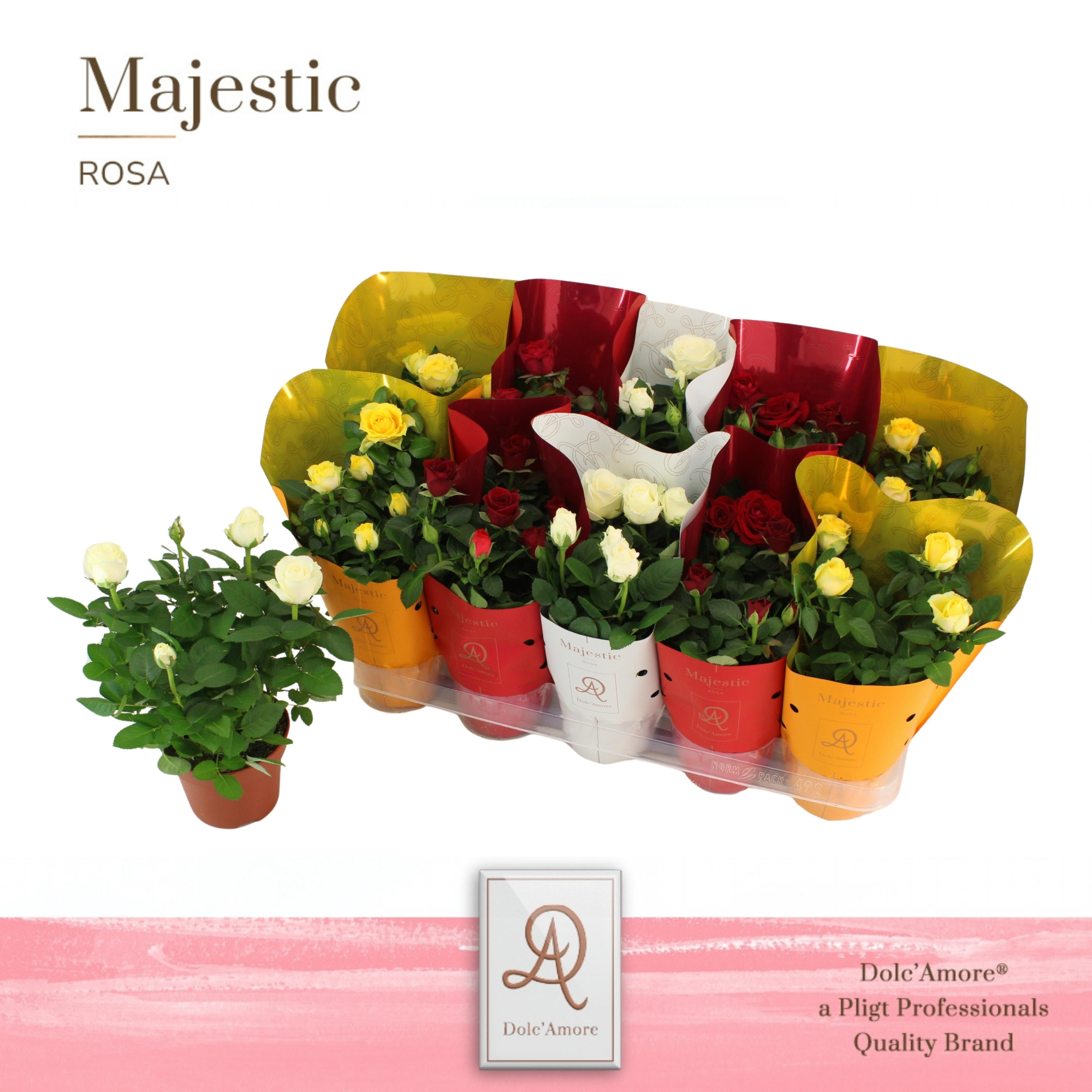 Potroos Verona Mix P12 Dolc'Amore Metallic, D 12