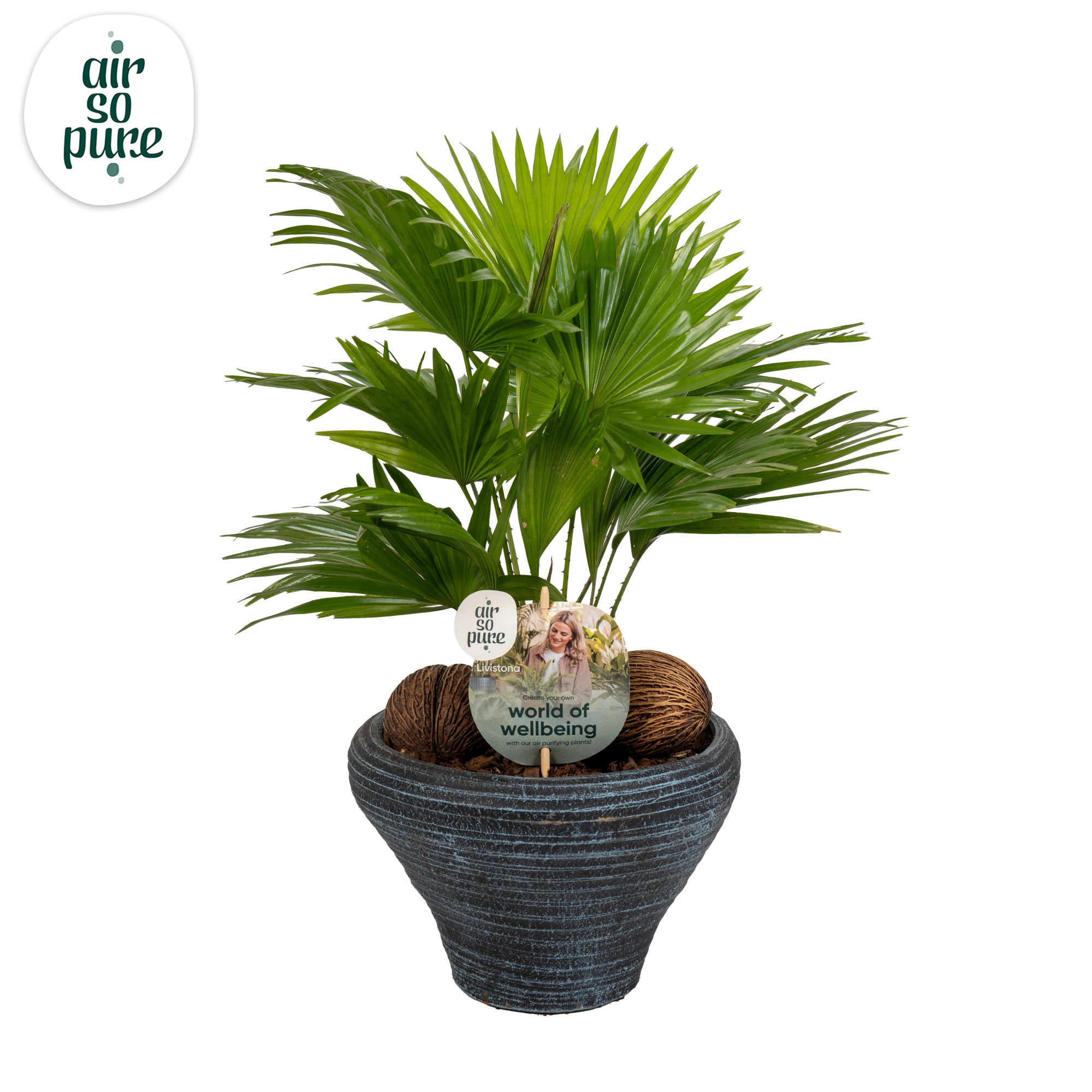 Livistona nr 6 hoedje Blue Air So Pure Aspd, D 26 cm