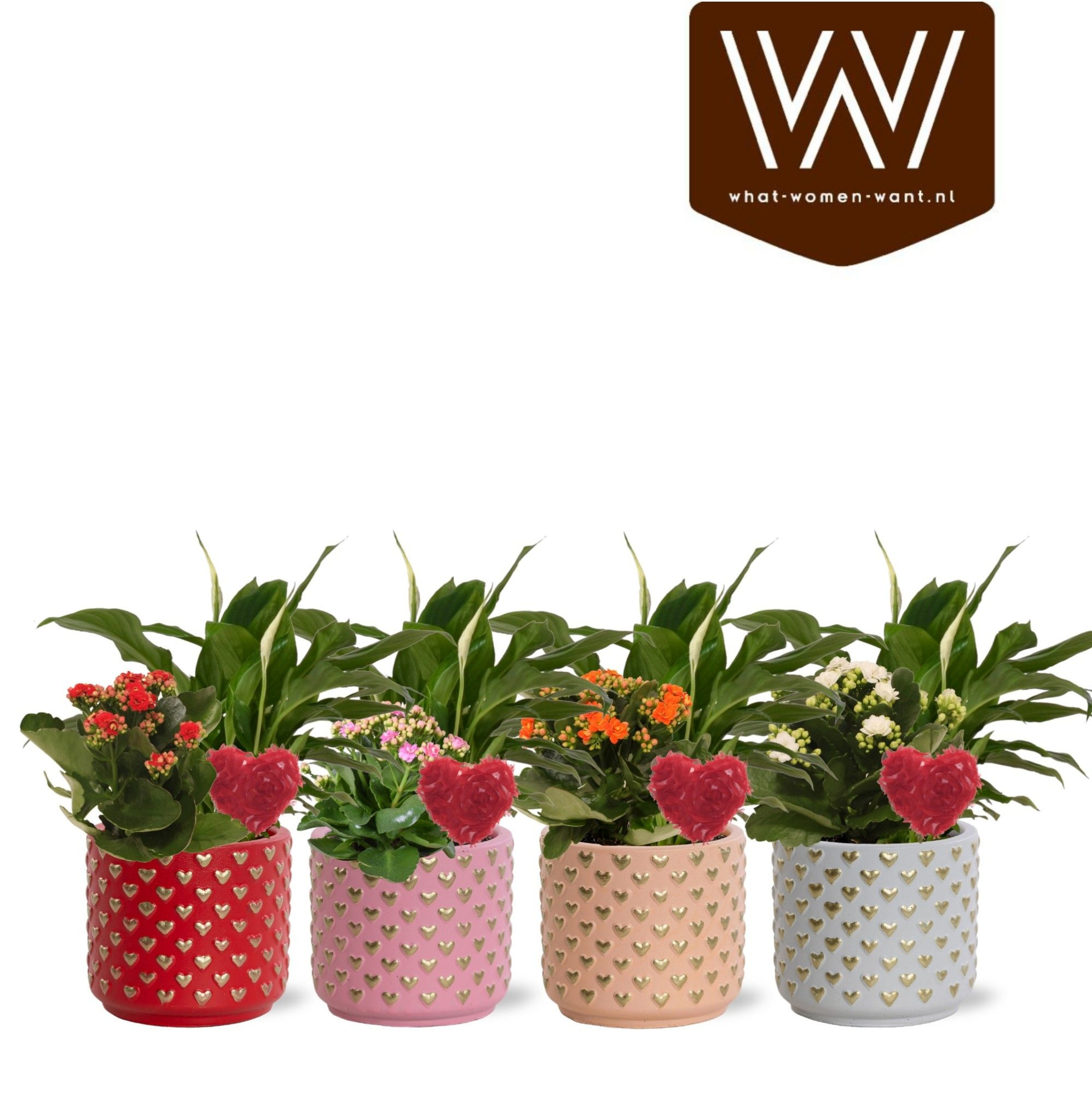 Collectie "Sympathetic Moods" - Arrangement Spathiphyllum in pot Kaya | Met bijsteker Hart, D 12