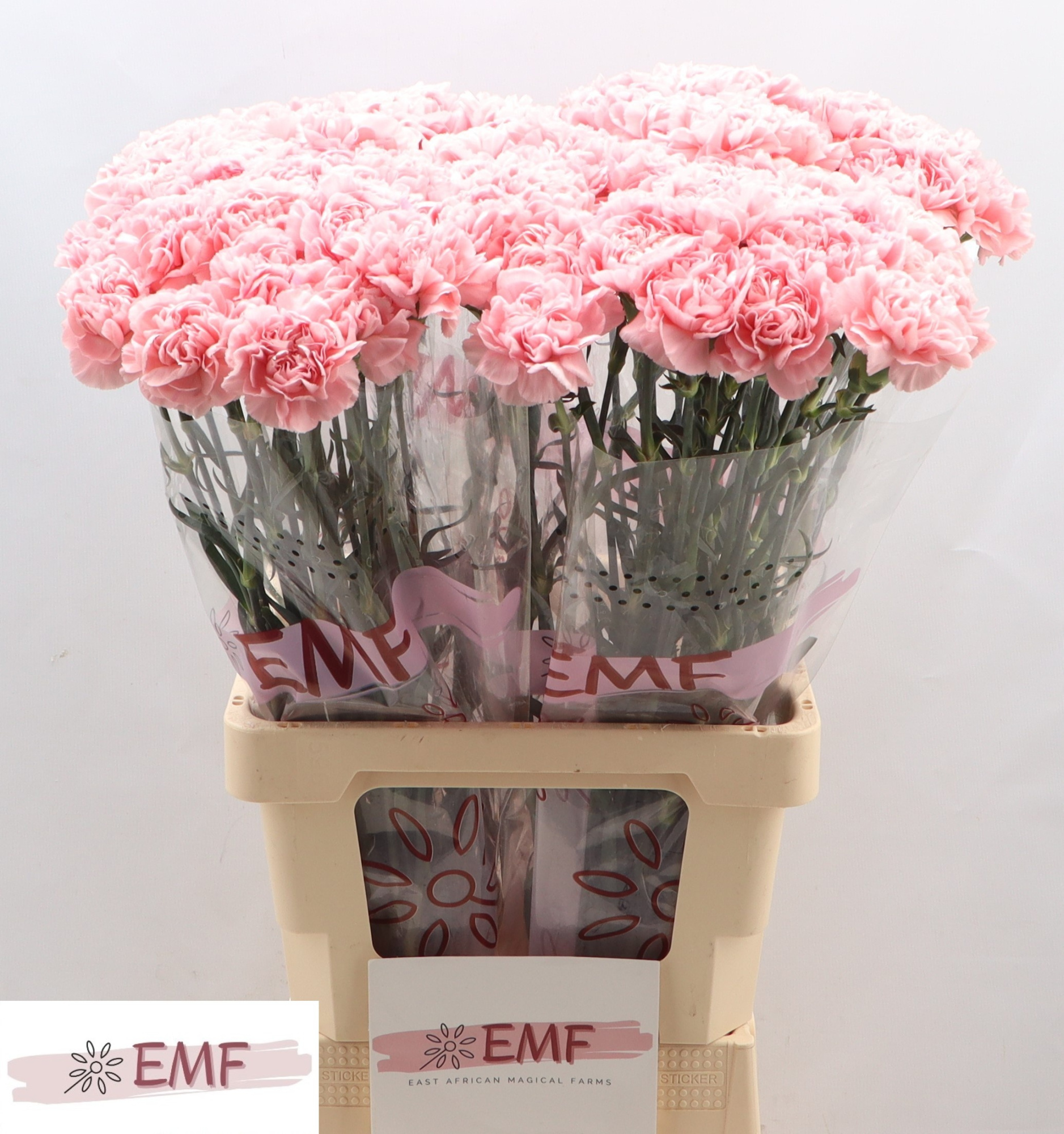 Диантус од. Пинк Монтезума, шт.