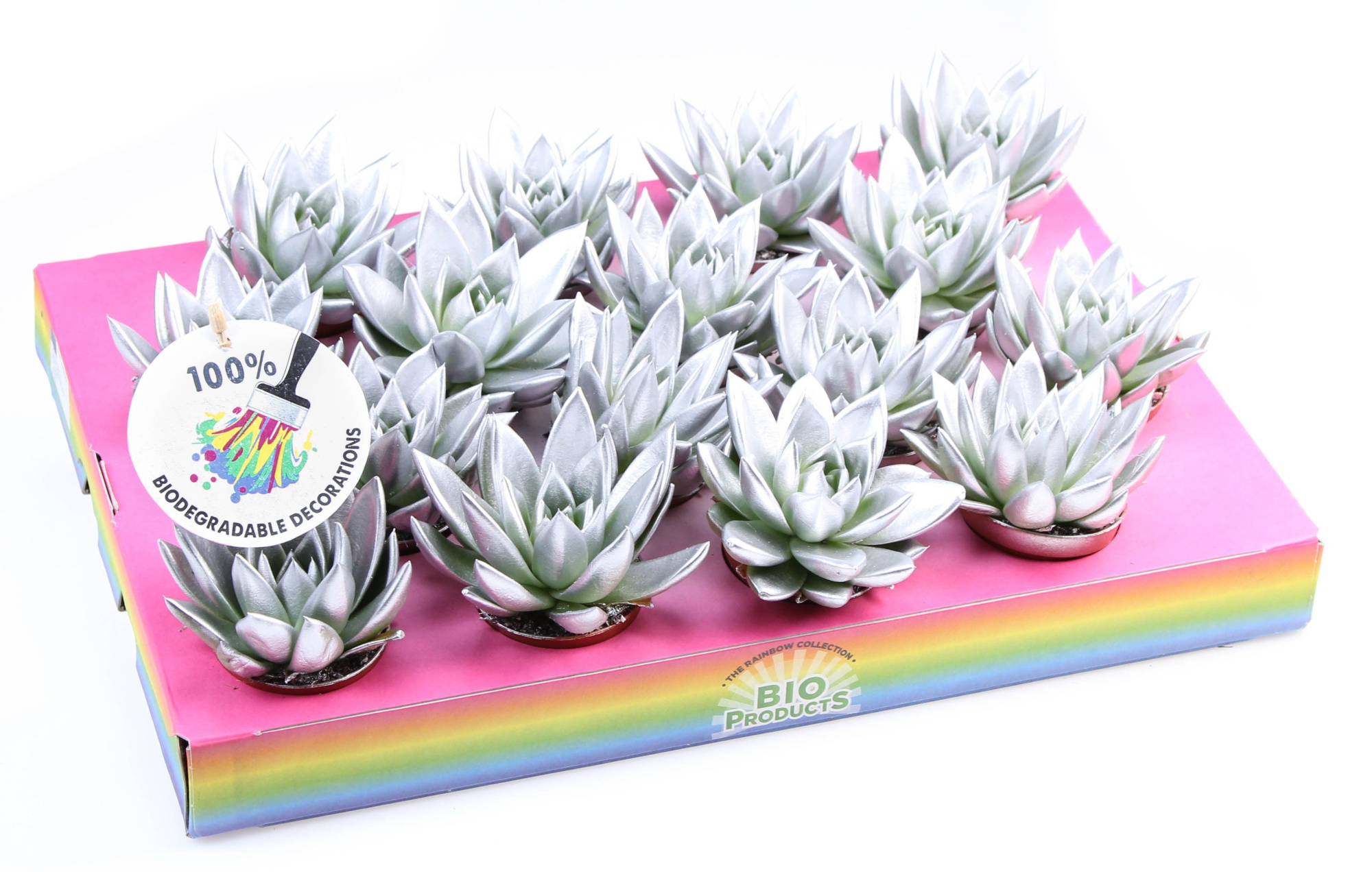 Bio miranda rainbow silver, D 6