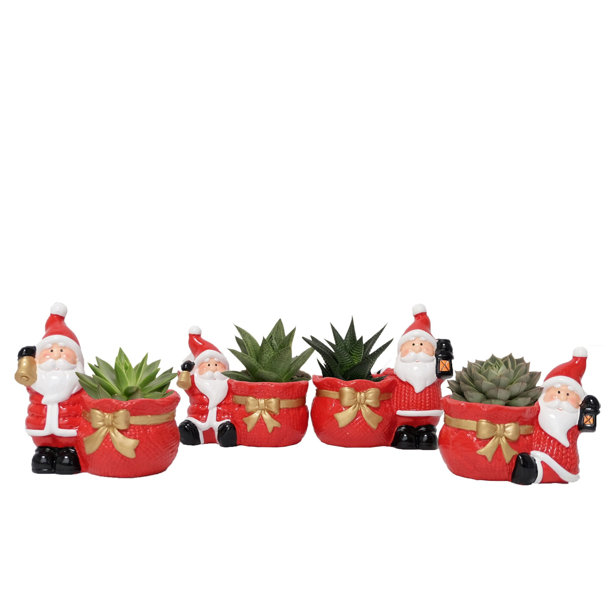Santa Mix with Succulent, D 6 cm
