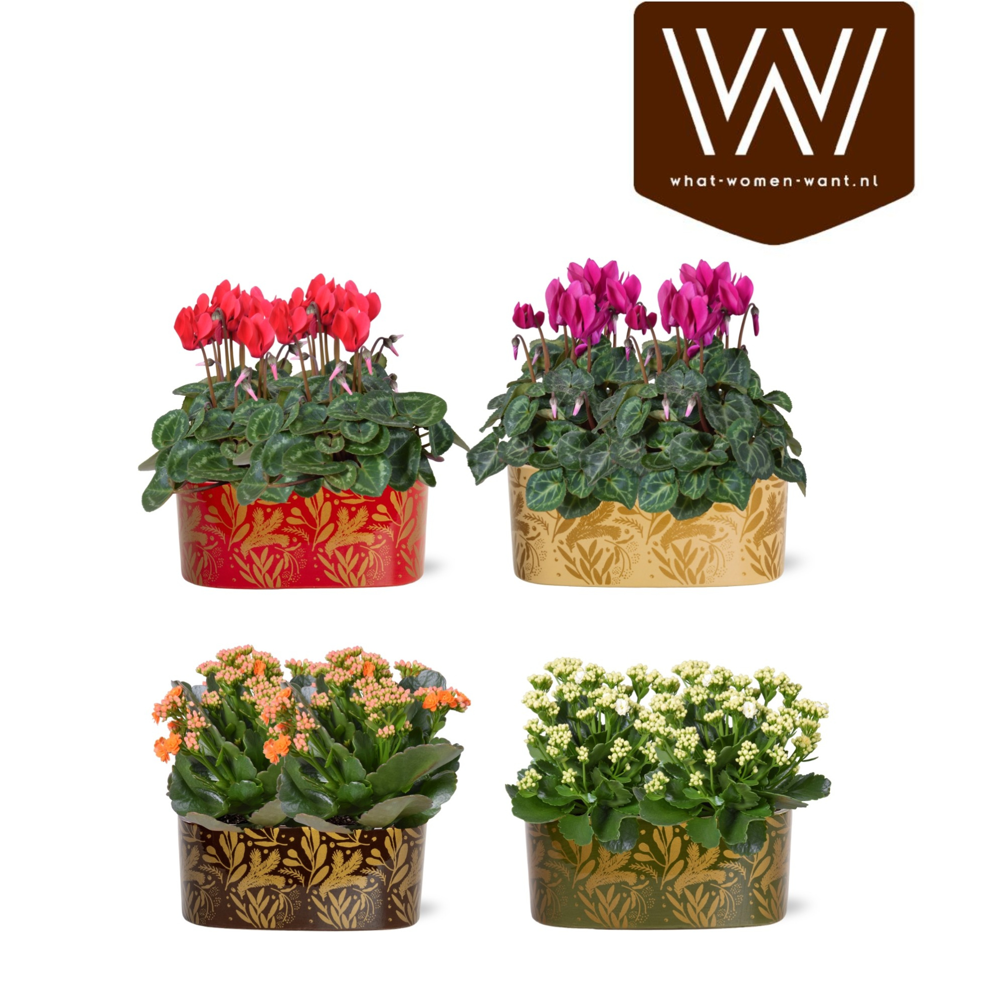 Collectie "Tasty Bubble" Bloei mix in Jenn ovaal Keramiek, D 19