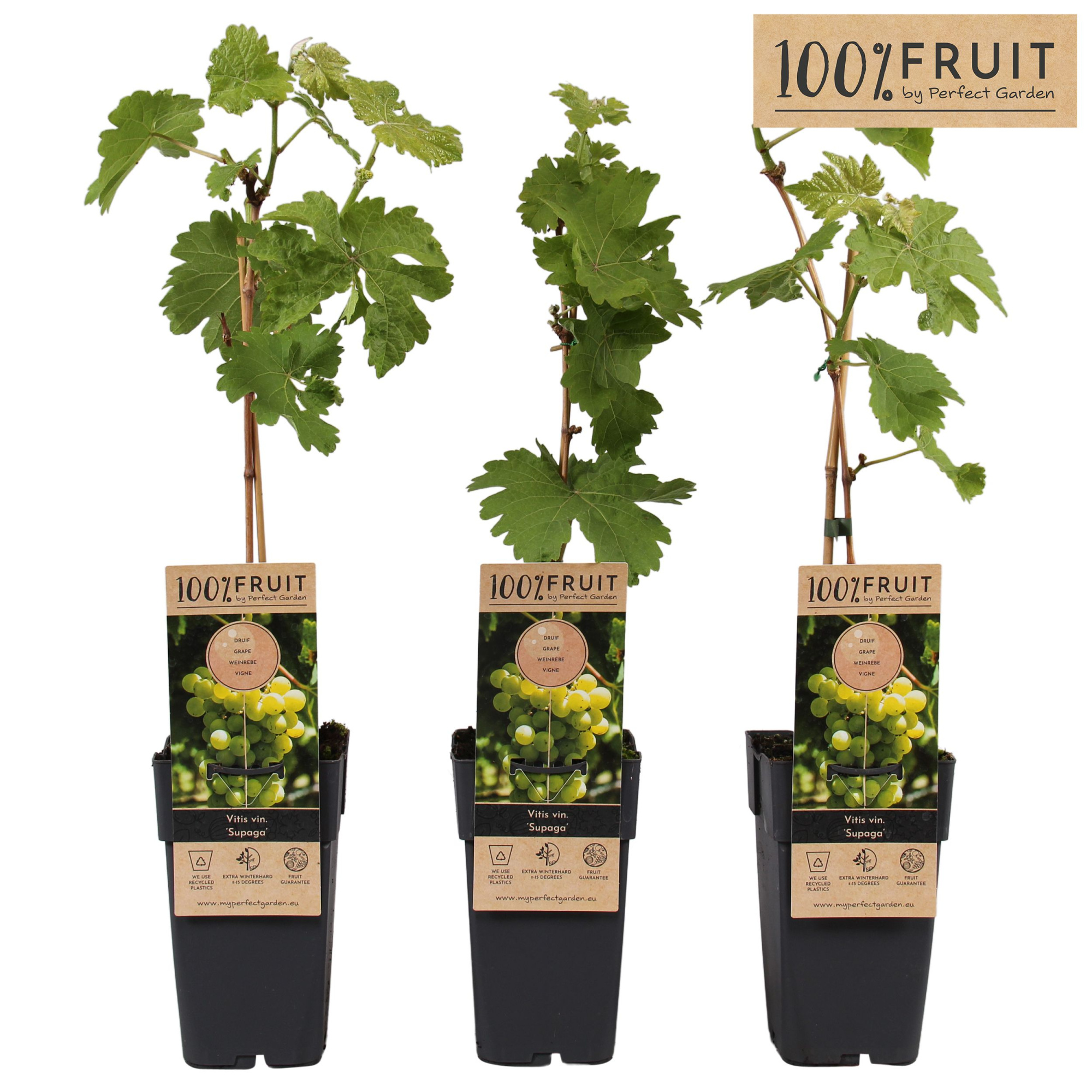 Vitis Supaga P15, D 15 cm