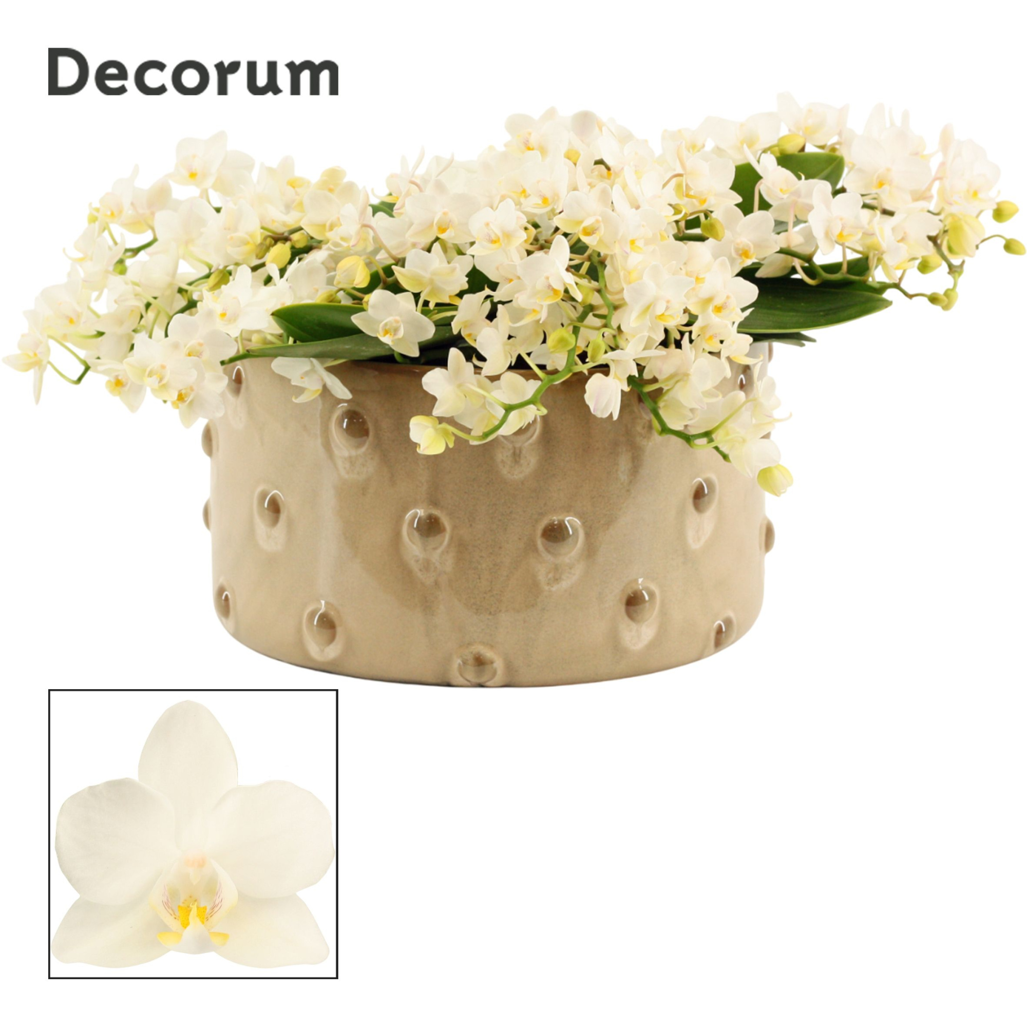Belle table Whitney 12+ tak symphony (Deco-collection), D 27 cm