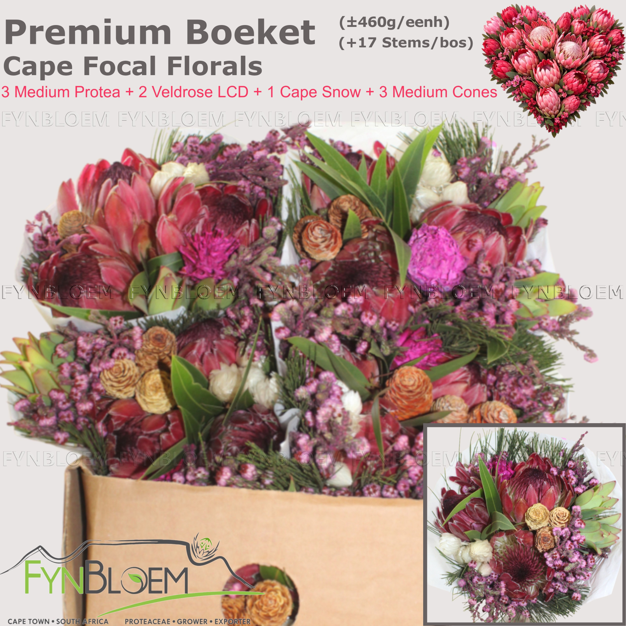 Протея Овериг за пучок 40, пуч.