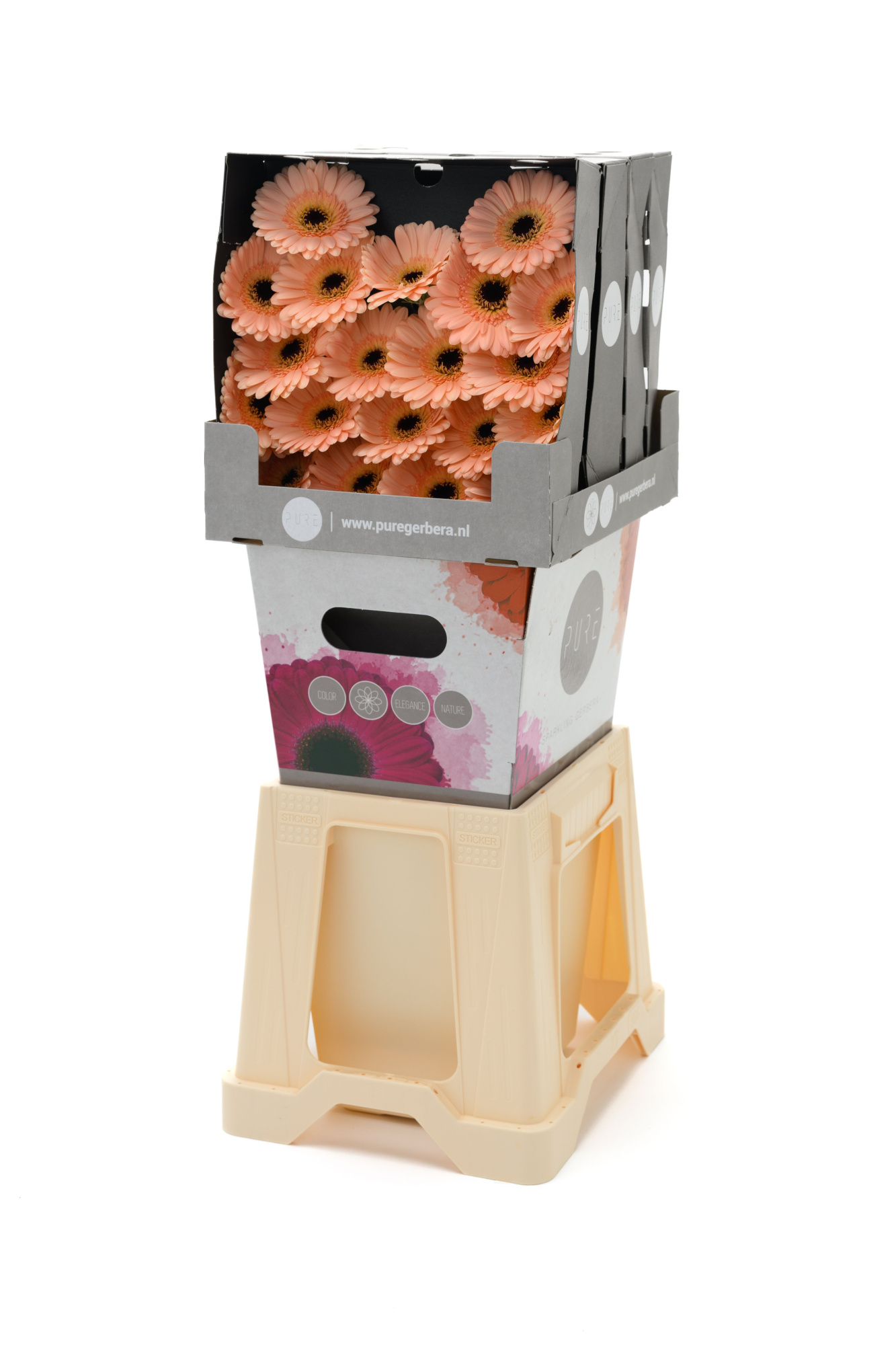 Гермини Эспрессо, шт.