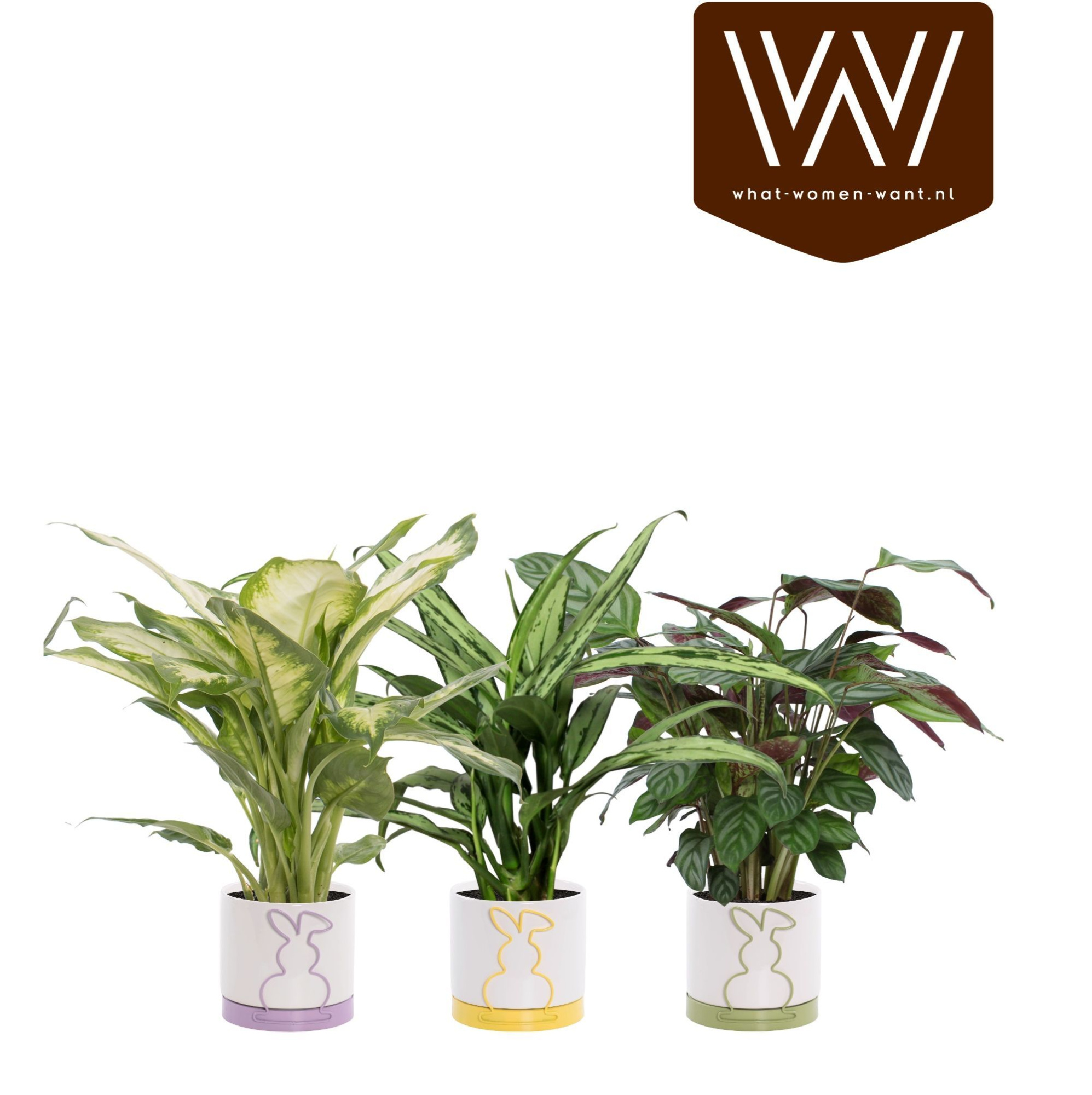 Groemix Emma Easter bunny, D 13