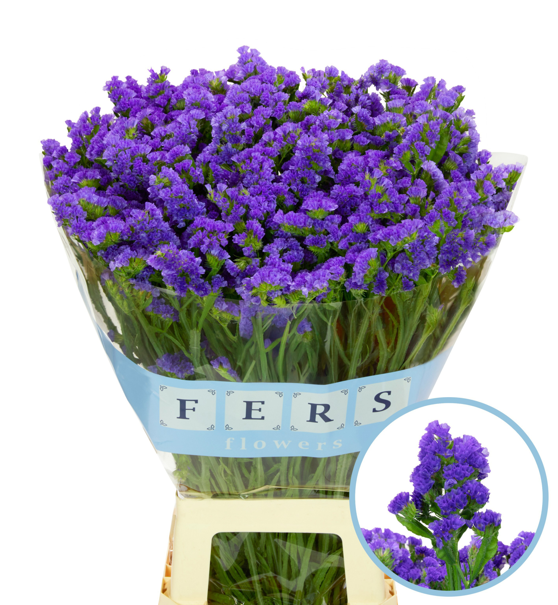 Статица Кристал Дарк Блю 60 (фиолет.), шт.