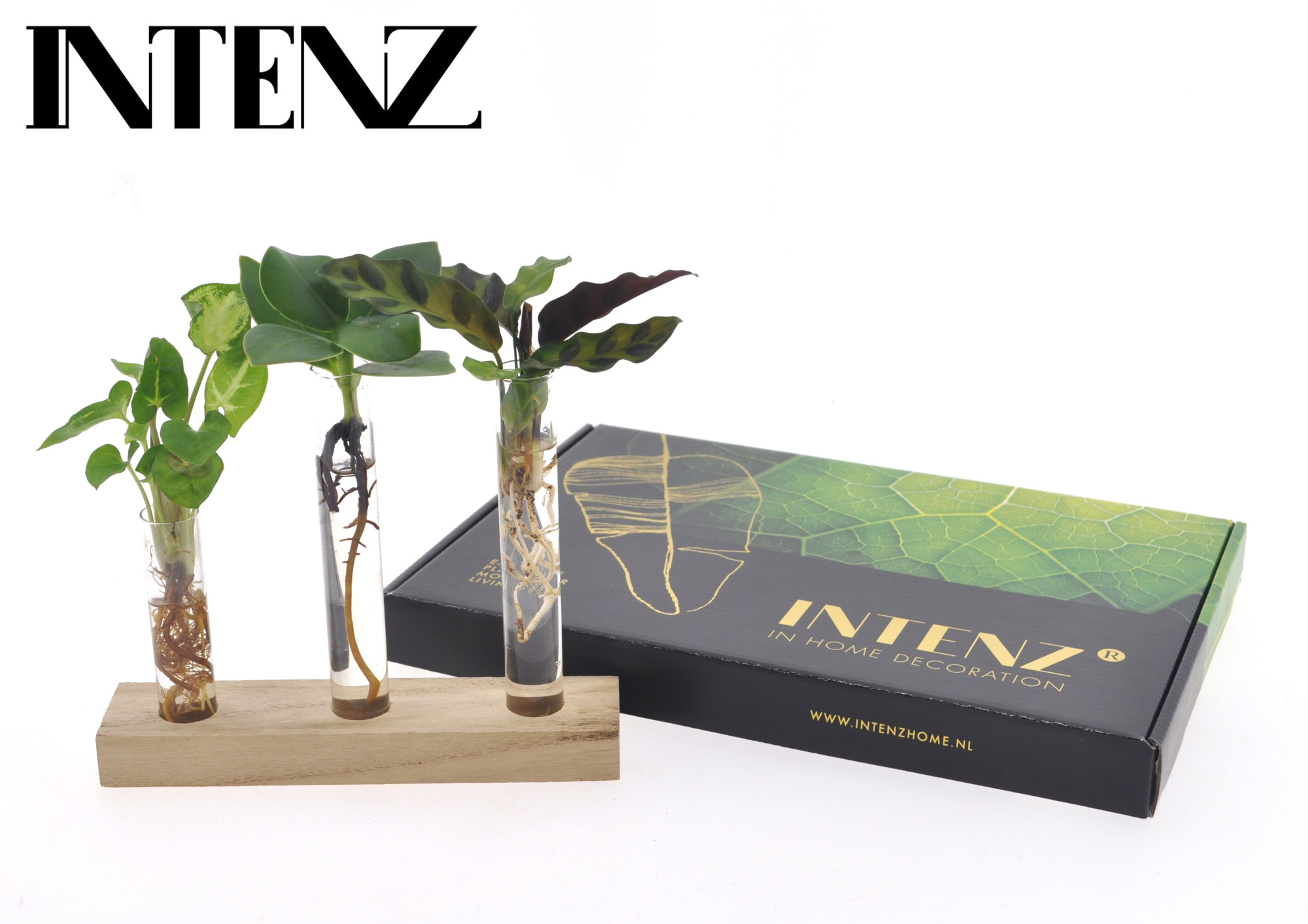 Brievenbus pakket Hydroponie - levertijd: 24 uur, D 7 cm