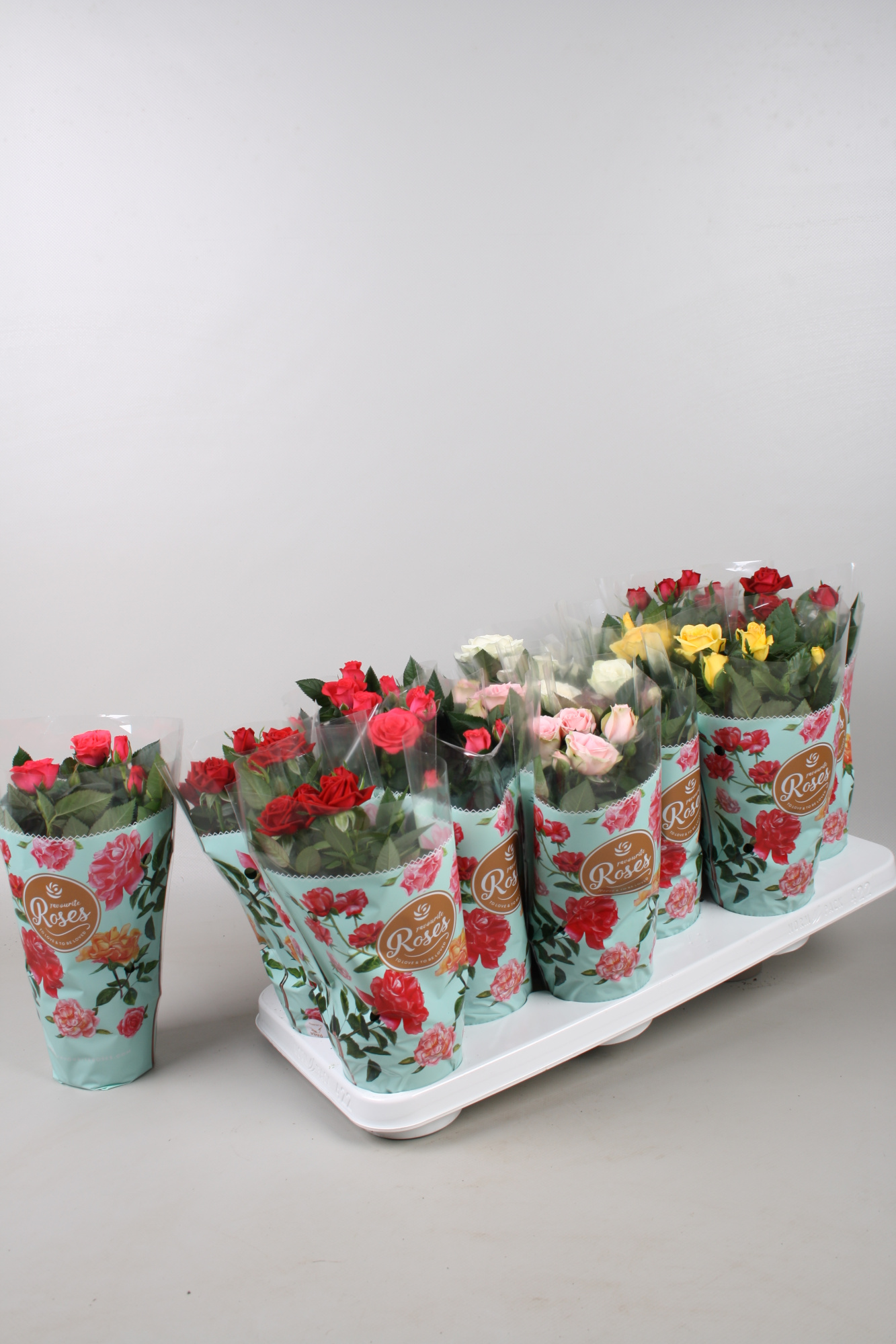 Rosa Favourite Roses gemengd in tray, D 10,5 cm