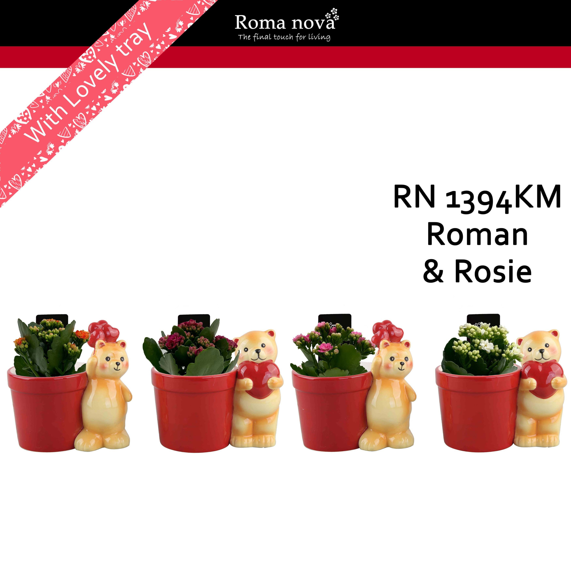 1394KM - Roman & Rosie (Kalanchoe mix), D 15
