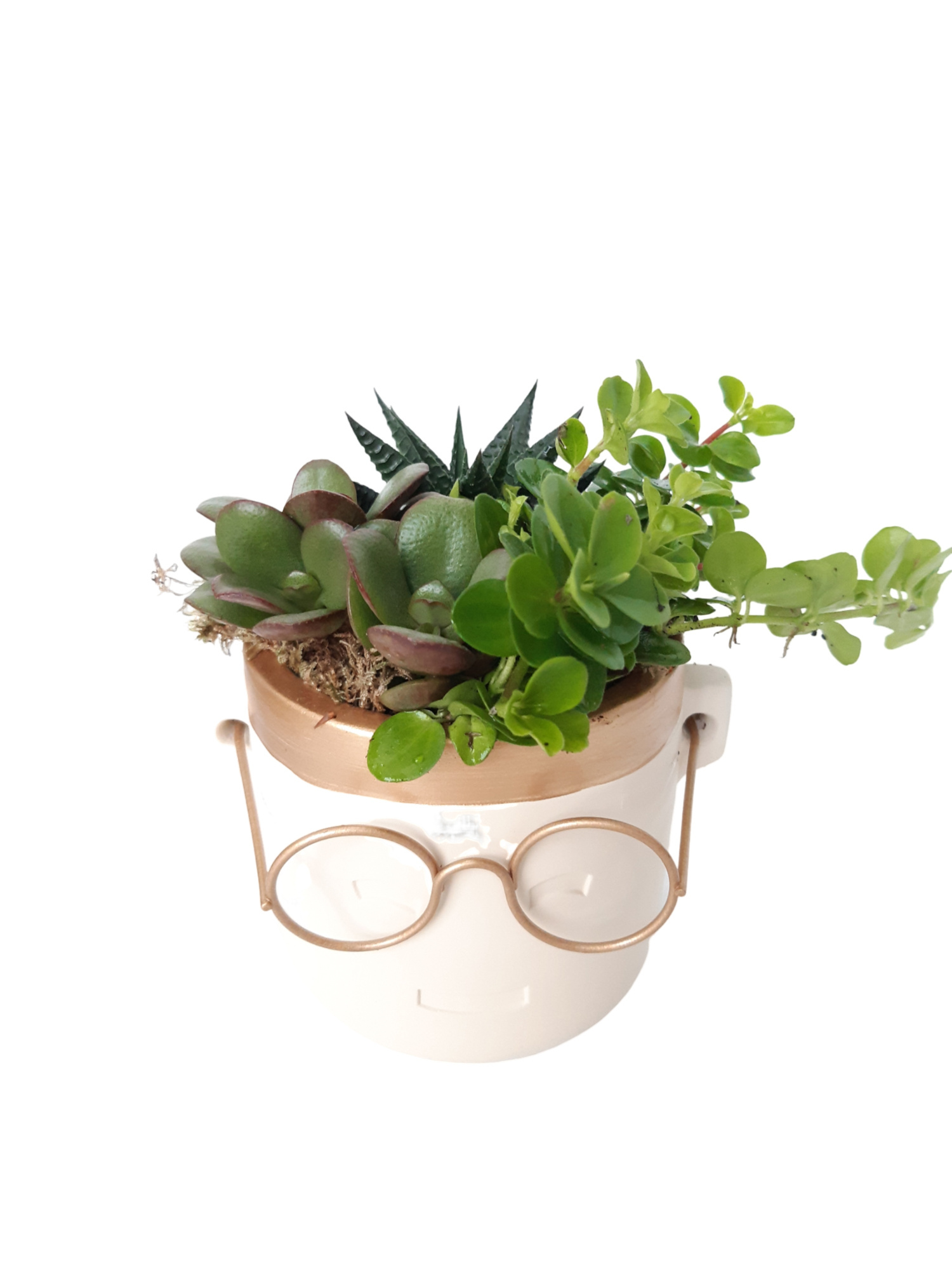 PG10GMX Gold pot/Glasses 10cm mini Groenmix KERST, D 11 cm