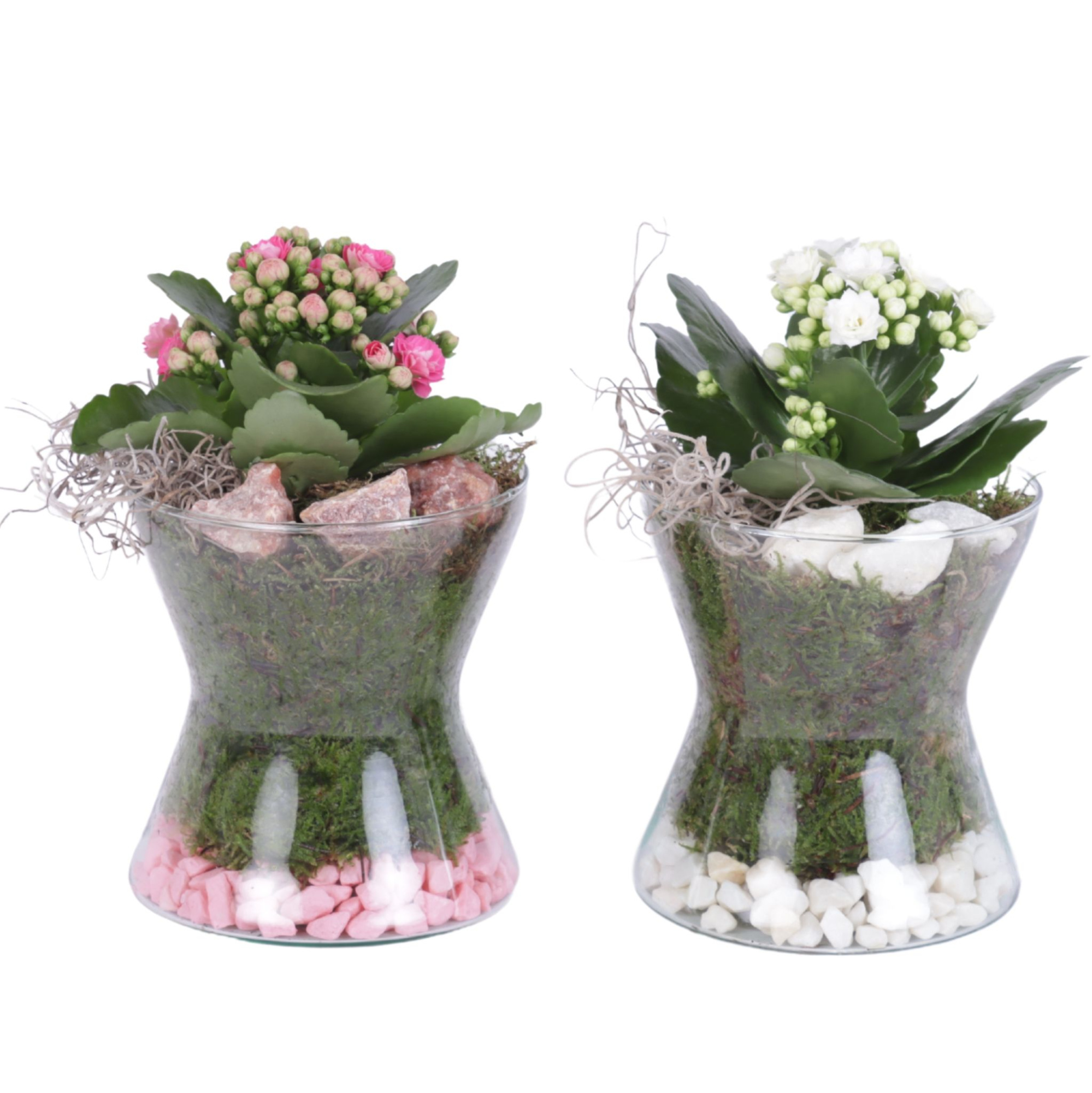 Yearround Arr. Indoor Glass Hourglass Ø13cm 1PP, D 13 cm