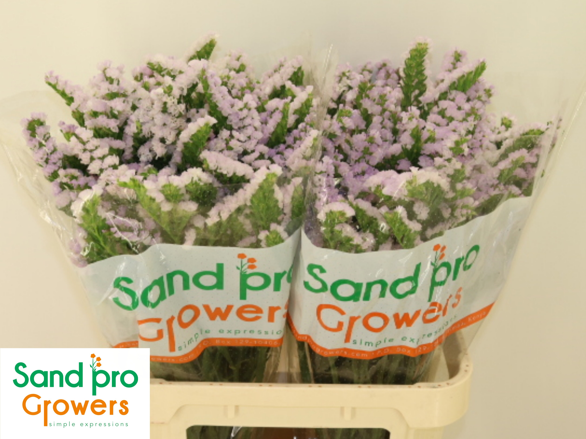 Статица Тесса Лавендер 80, шт.