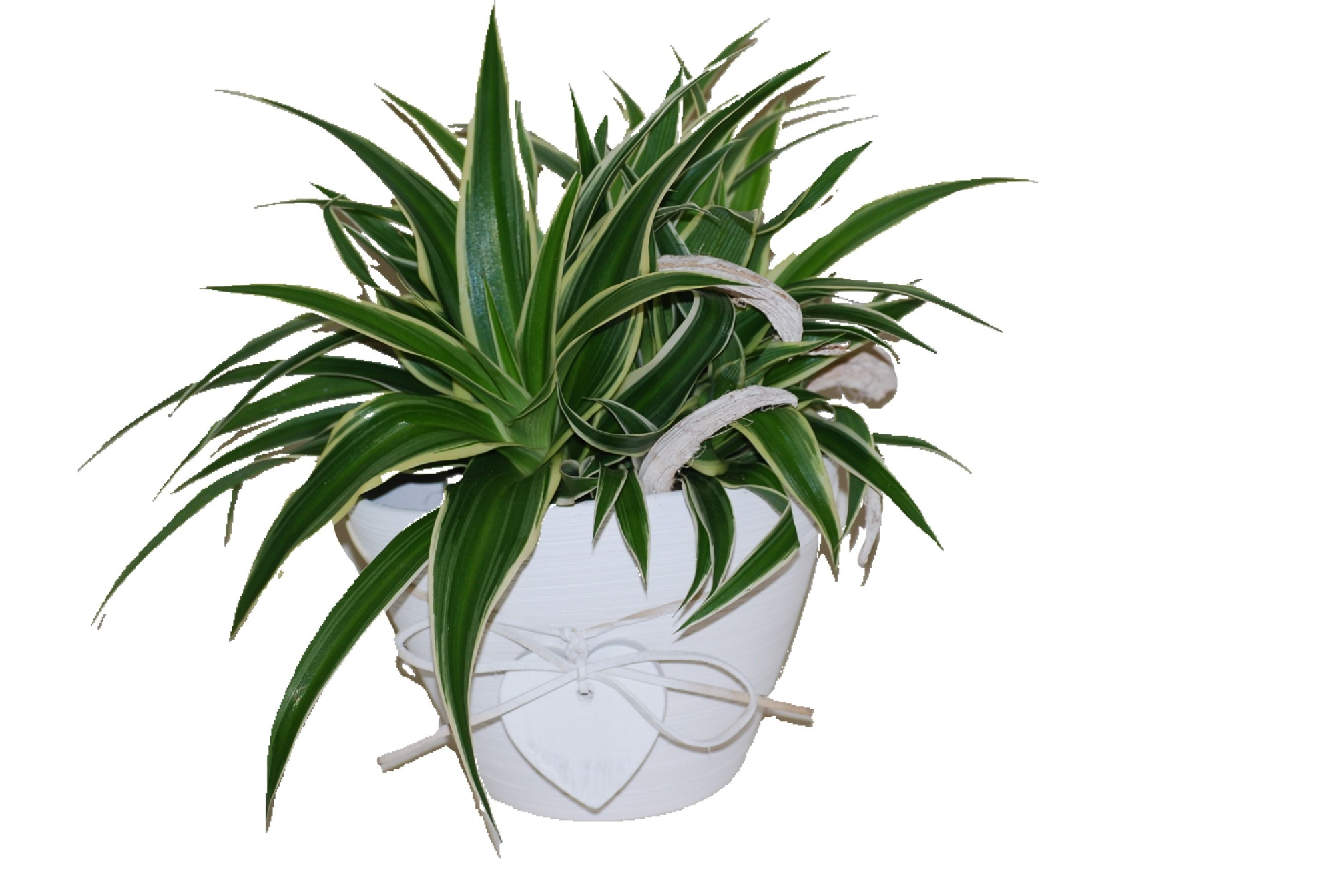 WHH14CHL Ovale pot 14cm white + heart, D 15 cm