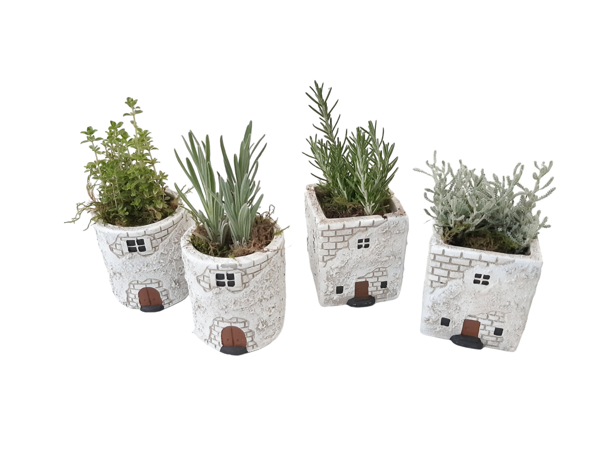 CASA P8HRBMX Casa Piccolo kruidenmix, D 8 cm