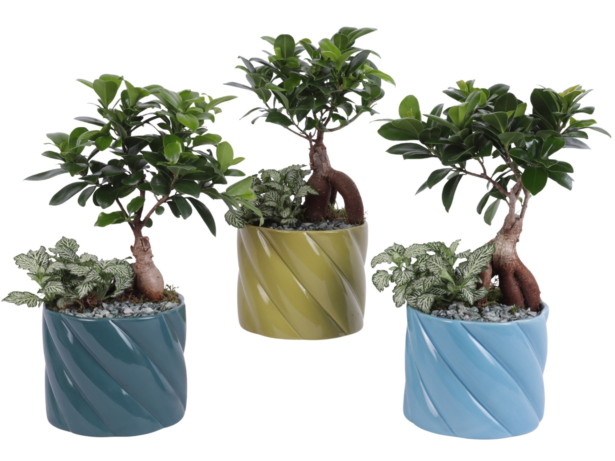 Yearround Arr. Indoor Ceramic Fresh Breeze FB674 Ø14cm 2PP, D 14