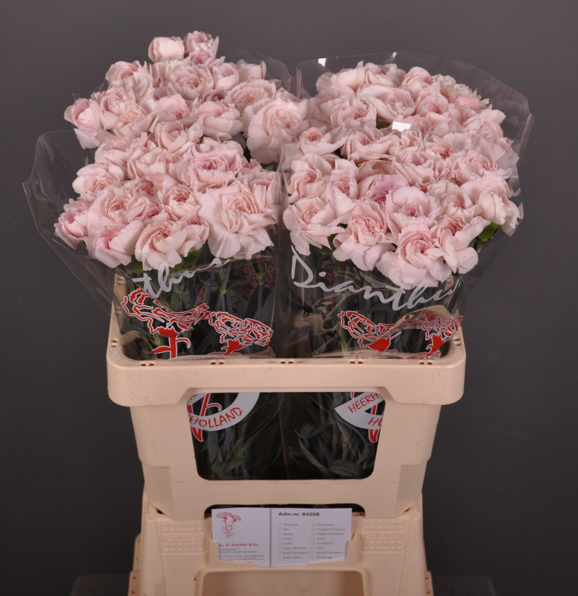 Диантус од. Брайдал Дамаскус (светло-роз.), шт.