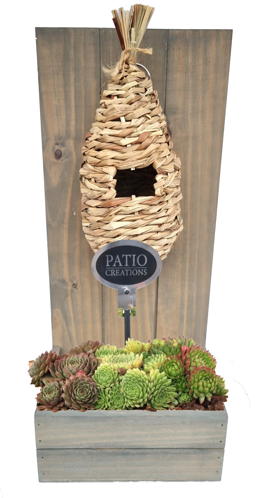 SE803-9001 Sempervivum plantenbak nestkorf, D 20 cm