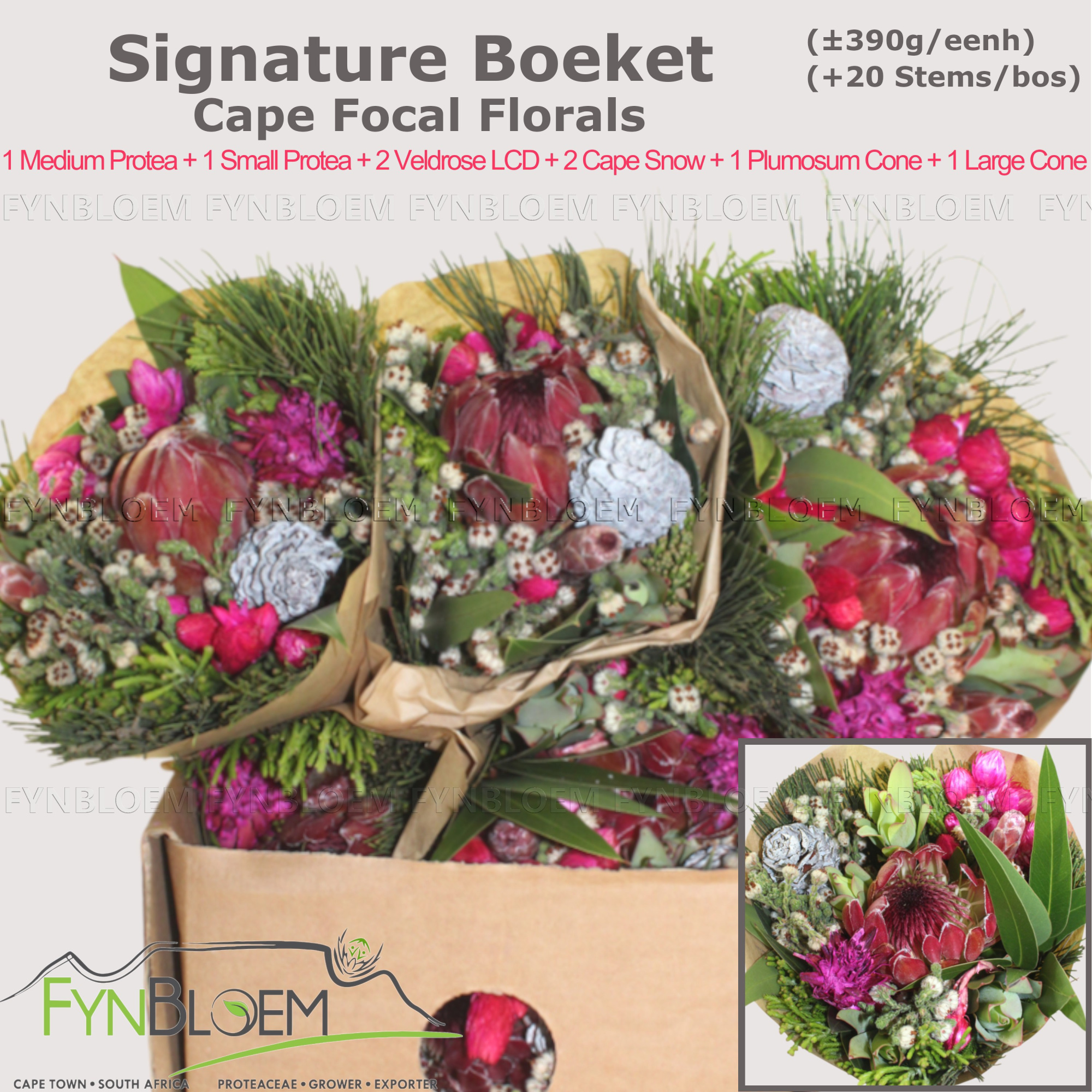 Протея Овериг за пучок 40, пуч.