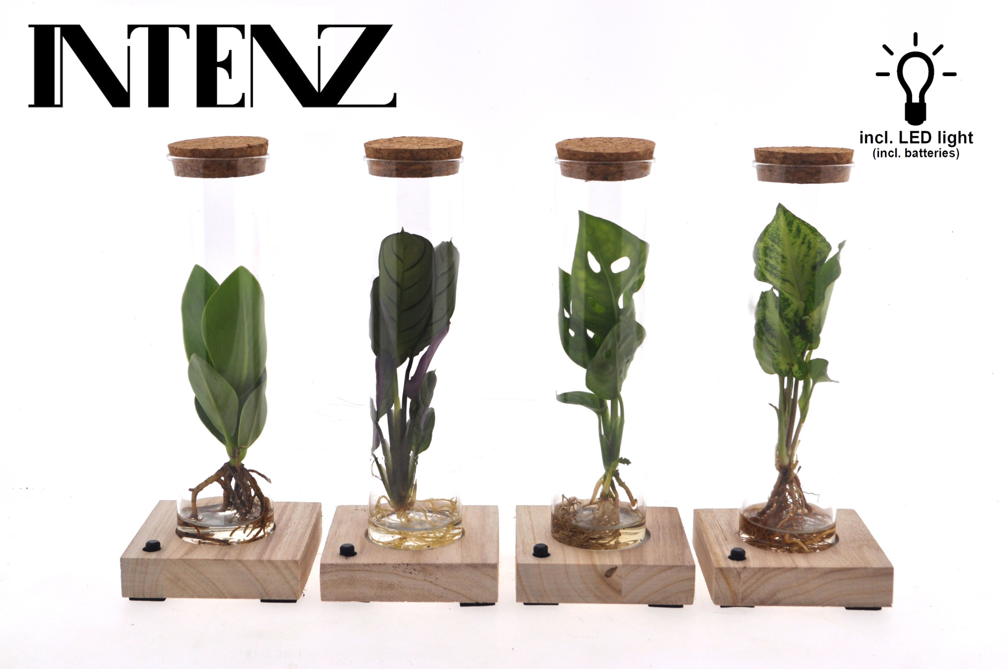 Mix in Tube glas + LED, D 7 cm