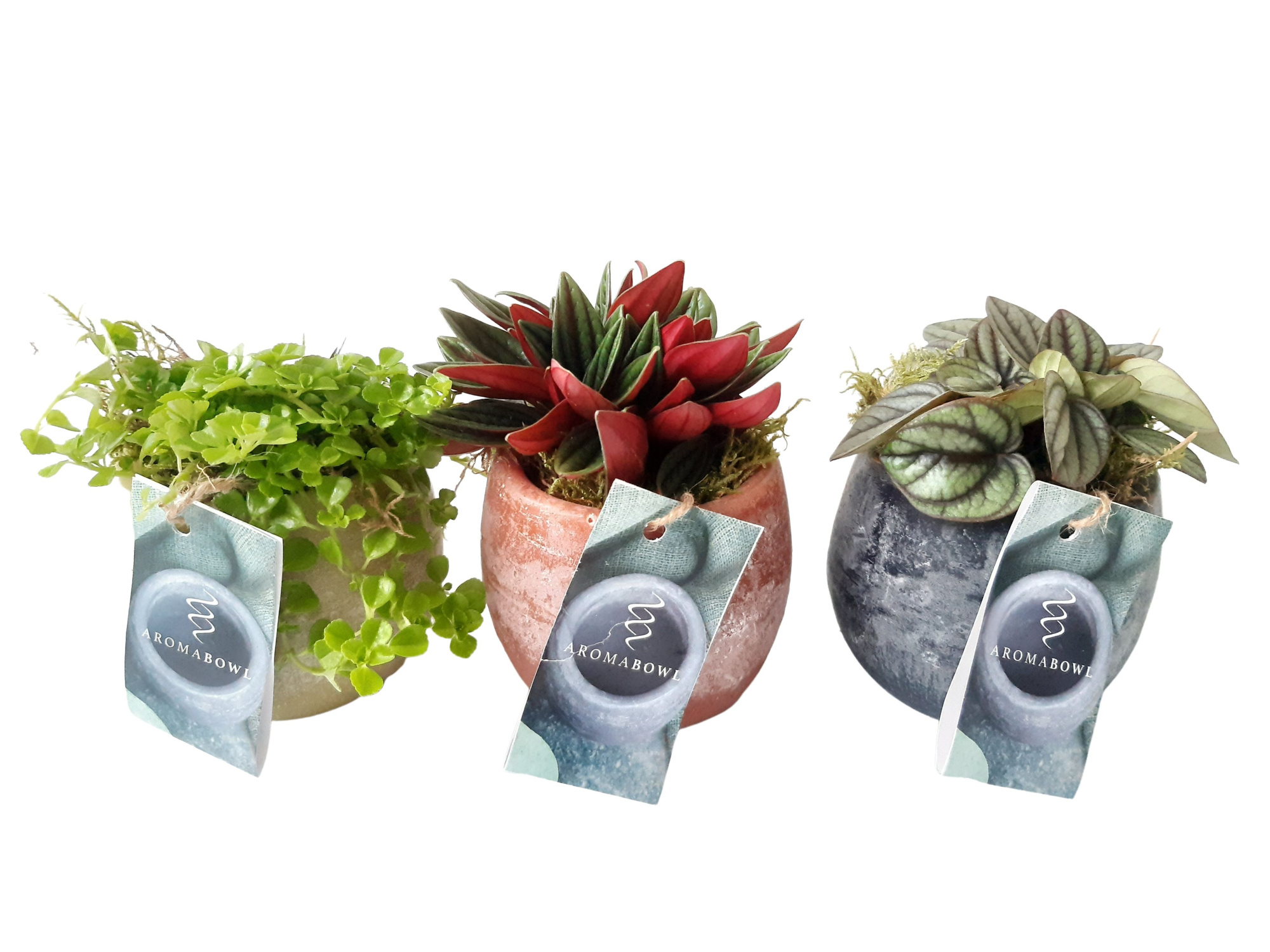 AB9MIX Aroma Bowl 9cm mini gr.mix. Musk, Amber, Jasmin, D 9 cm