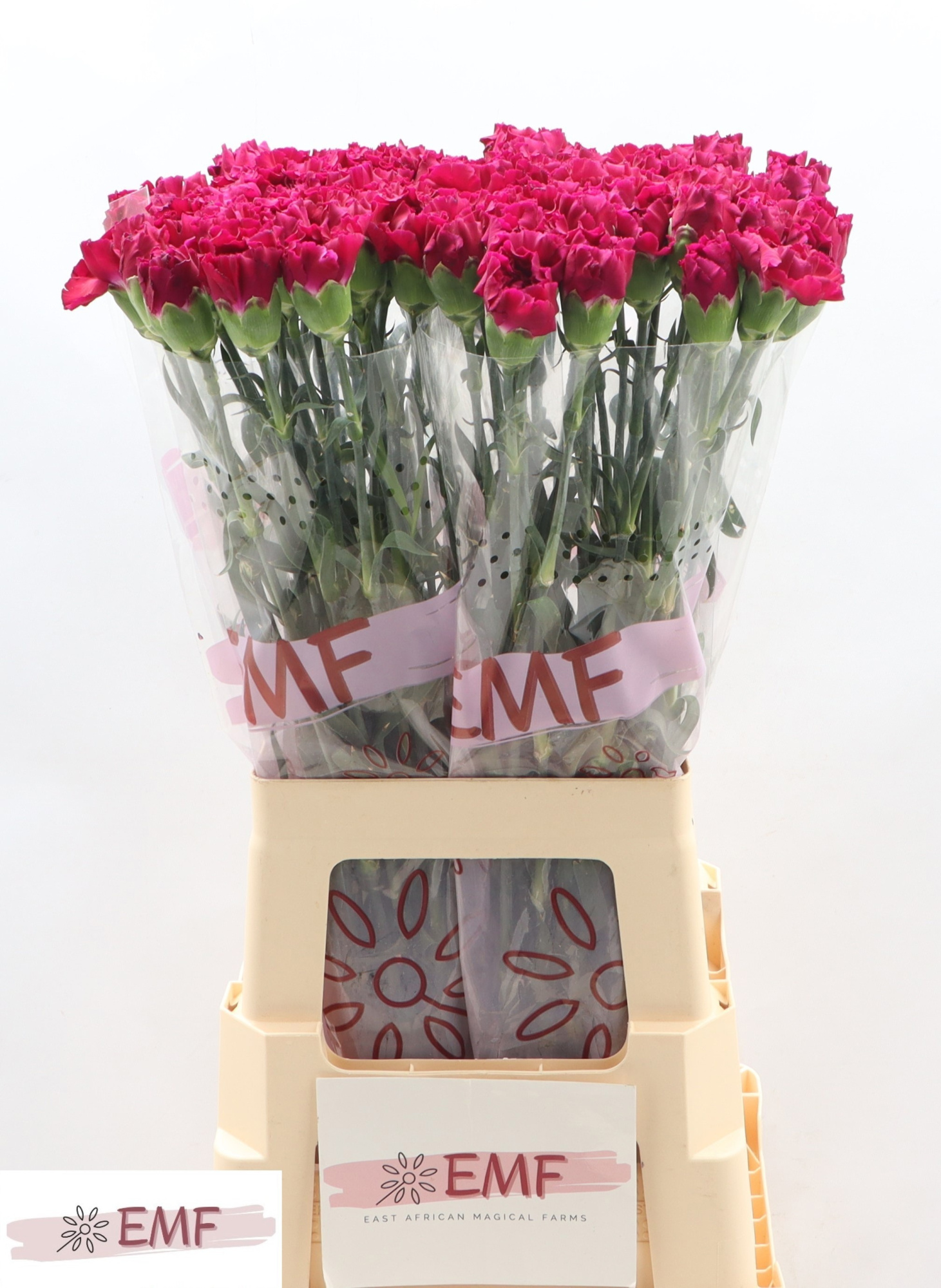 Диантус од. Зафиро, шт.