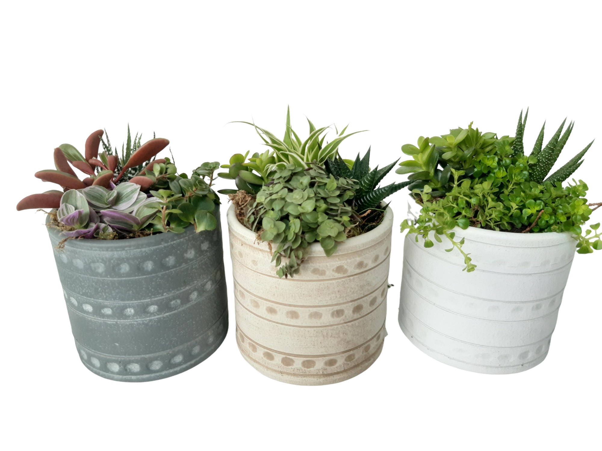 PCP14GMX Cilinderpot 14cm Mini Groenmix, D 14