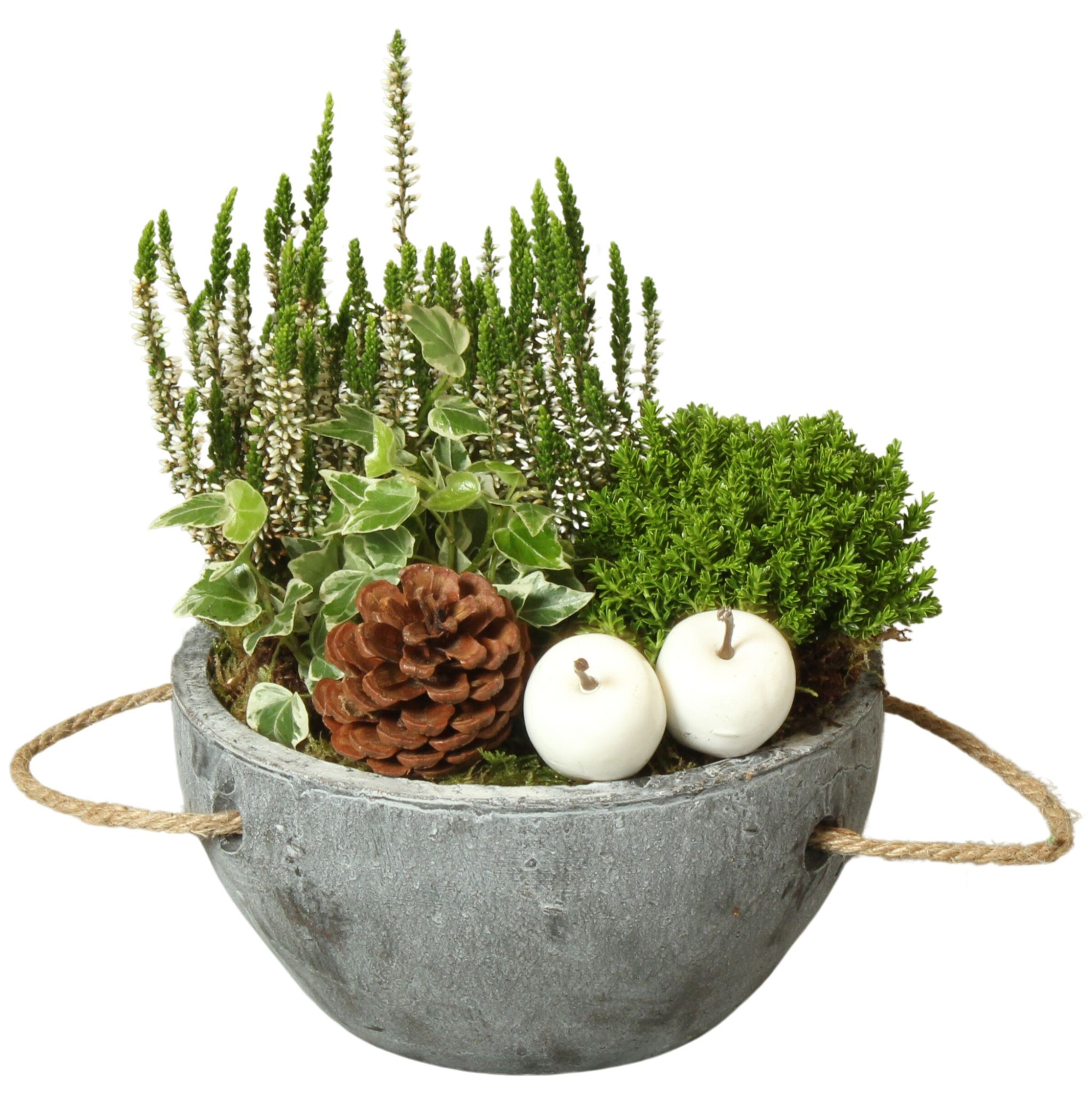 All Saints Arr. Outdoor Ceramic Pot with Rope Handle Ø20cm, D 20 cm