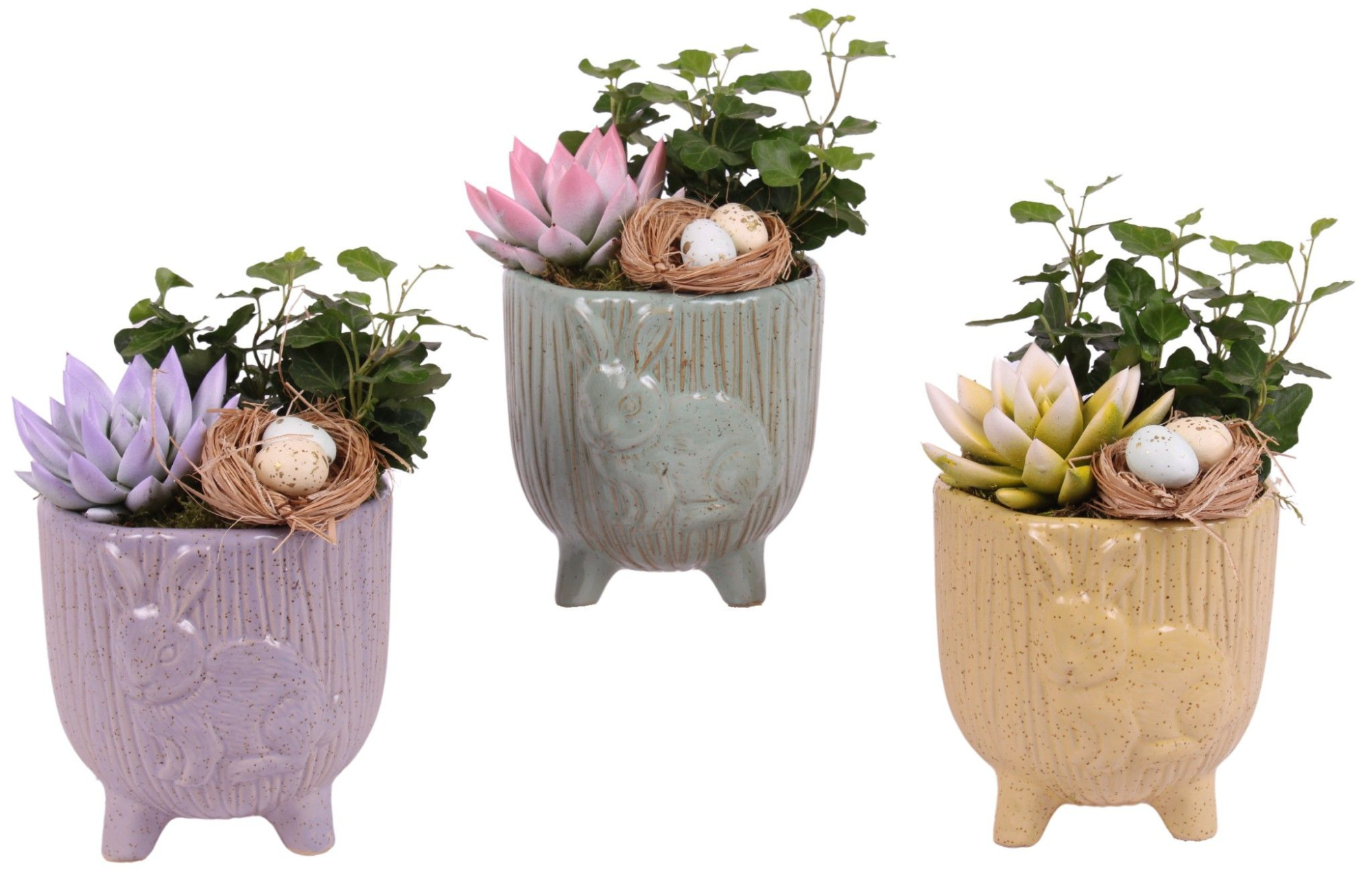 Easter Arr. Indoor Ceramic Pot Round Rabbit Feet Ø14cm 2PP, D 14