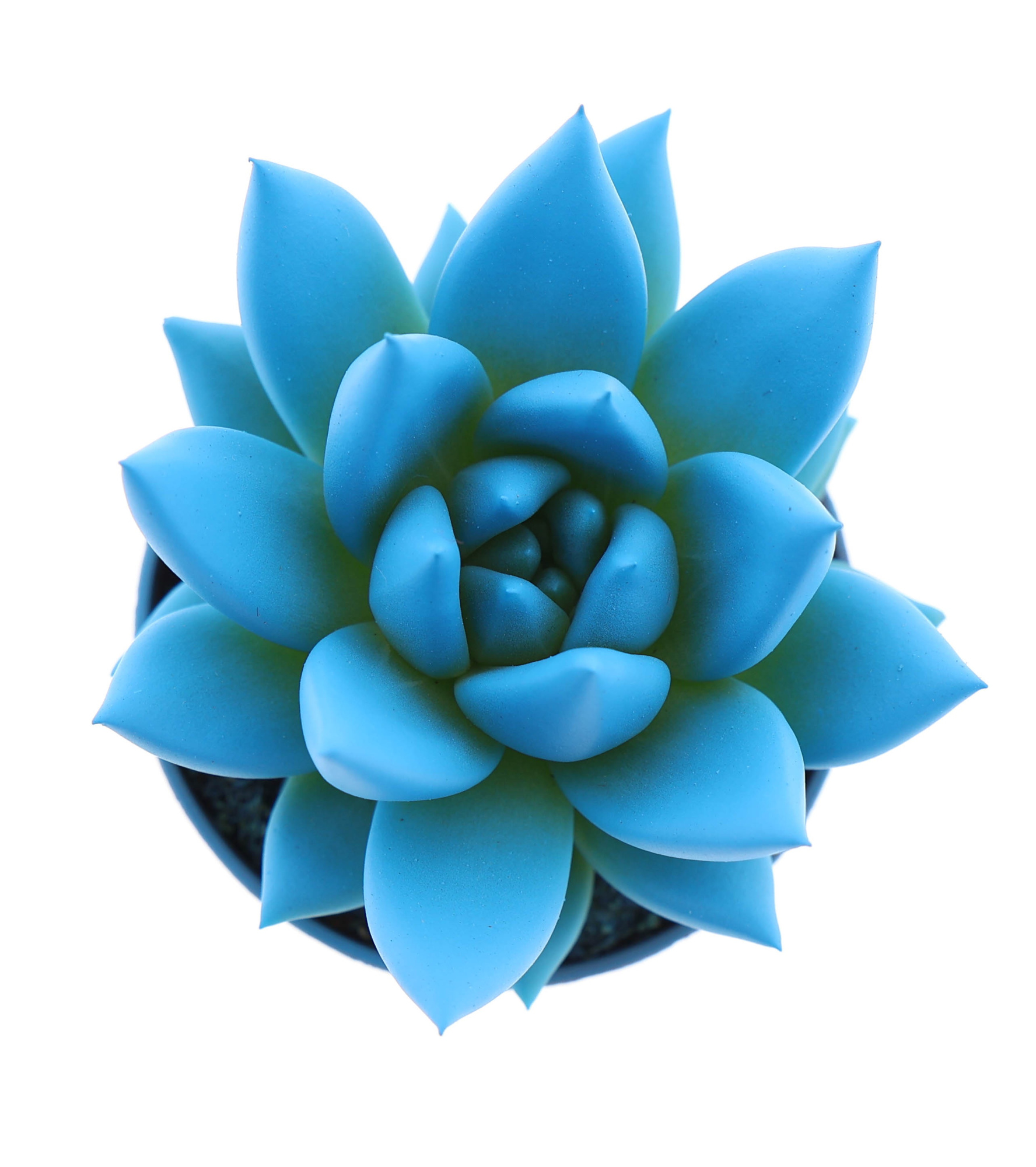 Rainbow sky blue, D 5,5 cm