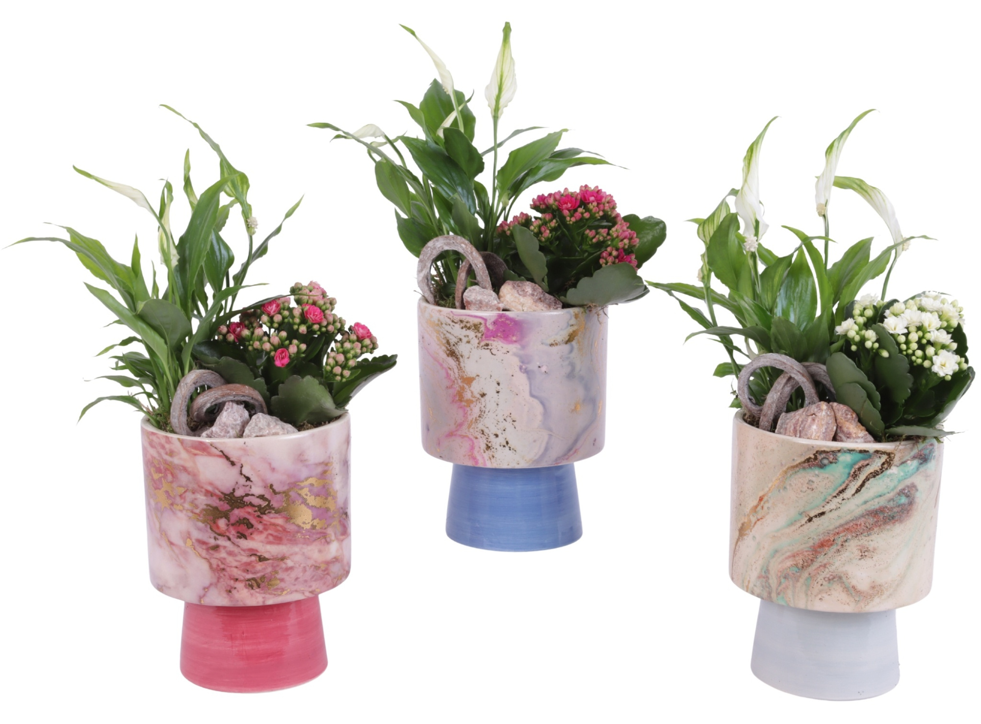 Yearround Arr. Indoor Ceramic Fresh Breeze FB676 Ø14cm 2PP, D 14